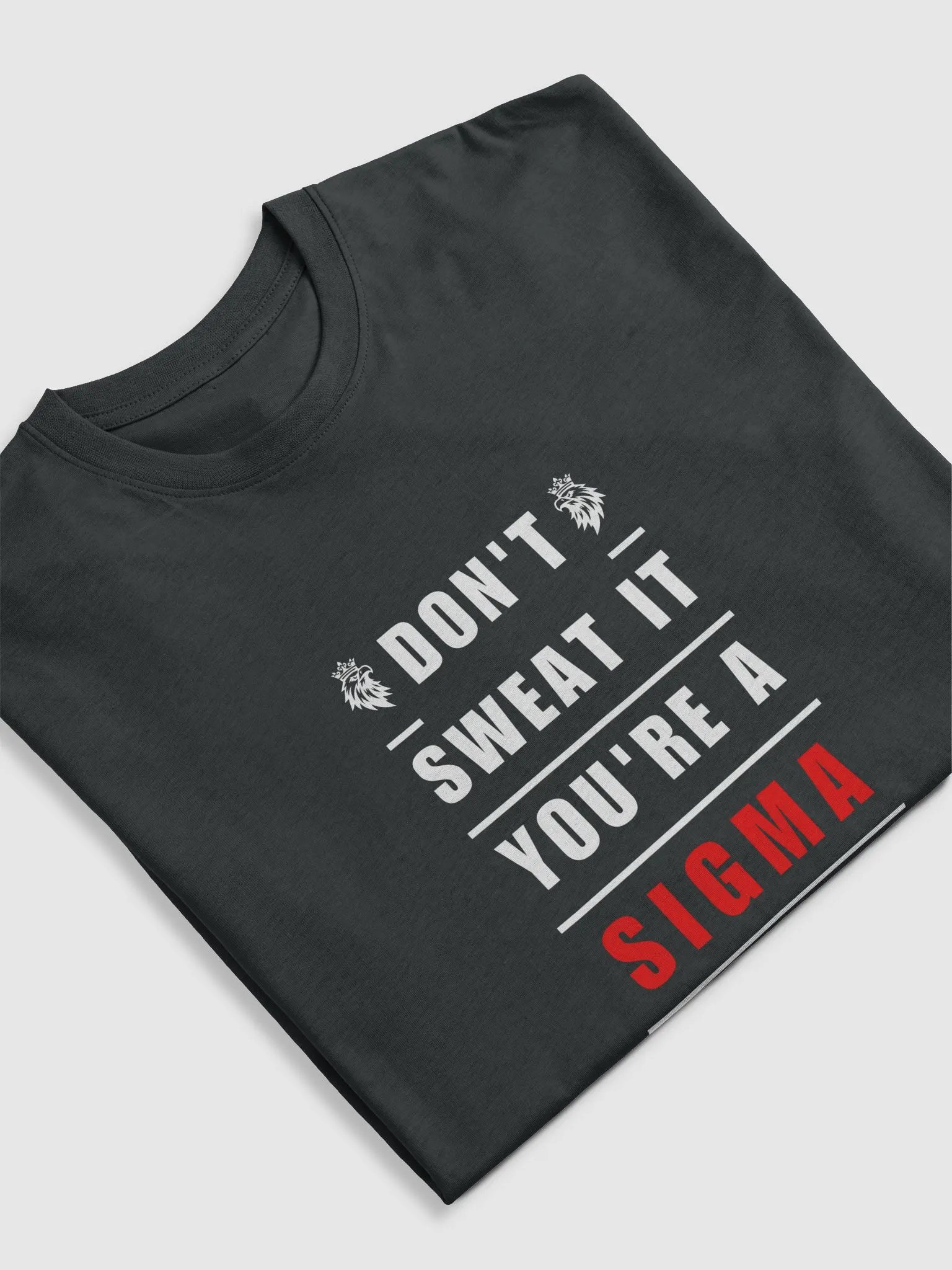 Don't Sweat it, you're a Sigma Oversized T-shirt product image (3)