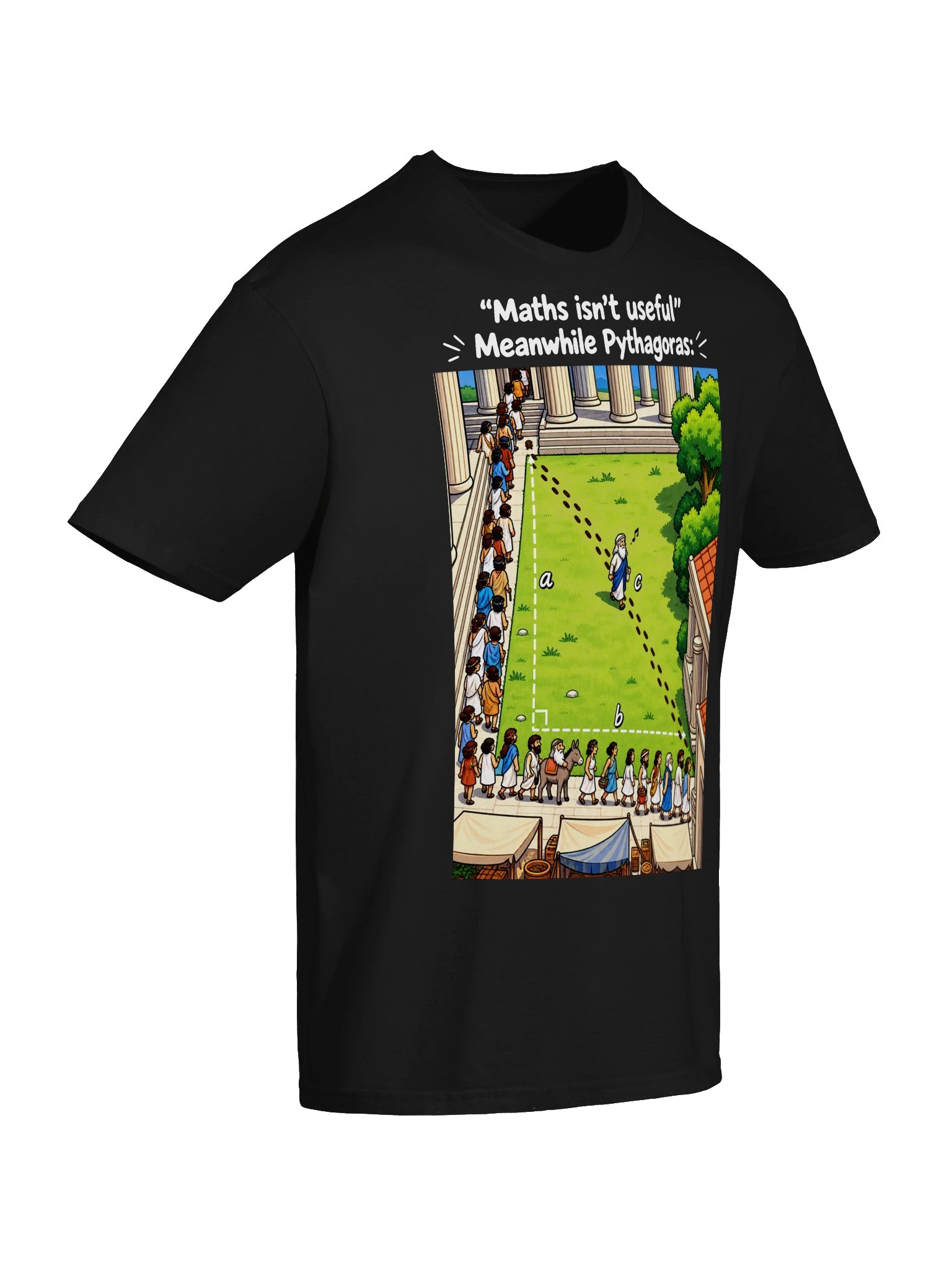 Maths Isn’t Useful – Meanwhile Pythagoras Funny Math T-Shirt product image (6)