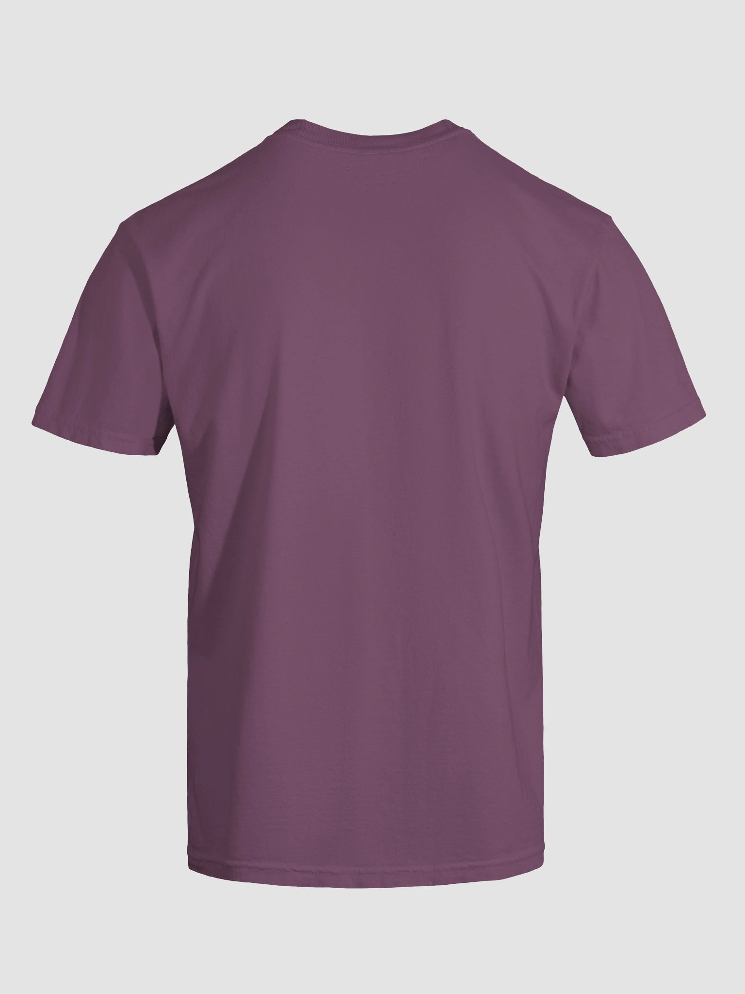 Straight & Narrow Path T-Shirt product image (9)