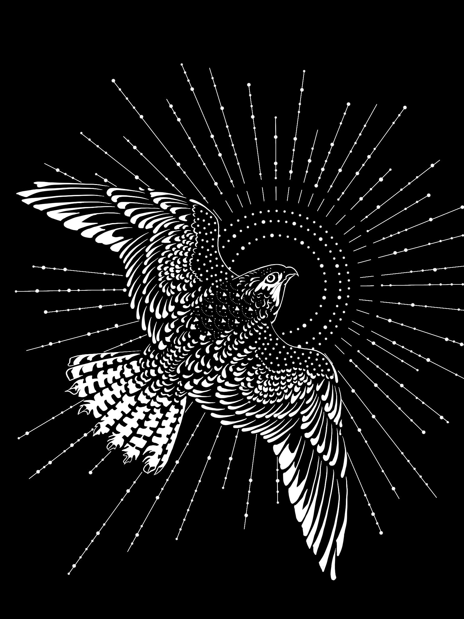 Radiant Falcon Crop Top product image (2)
