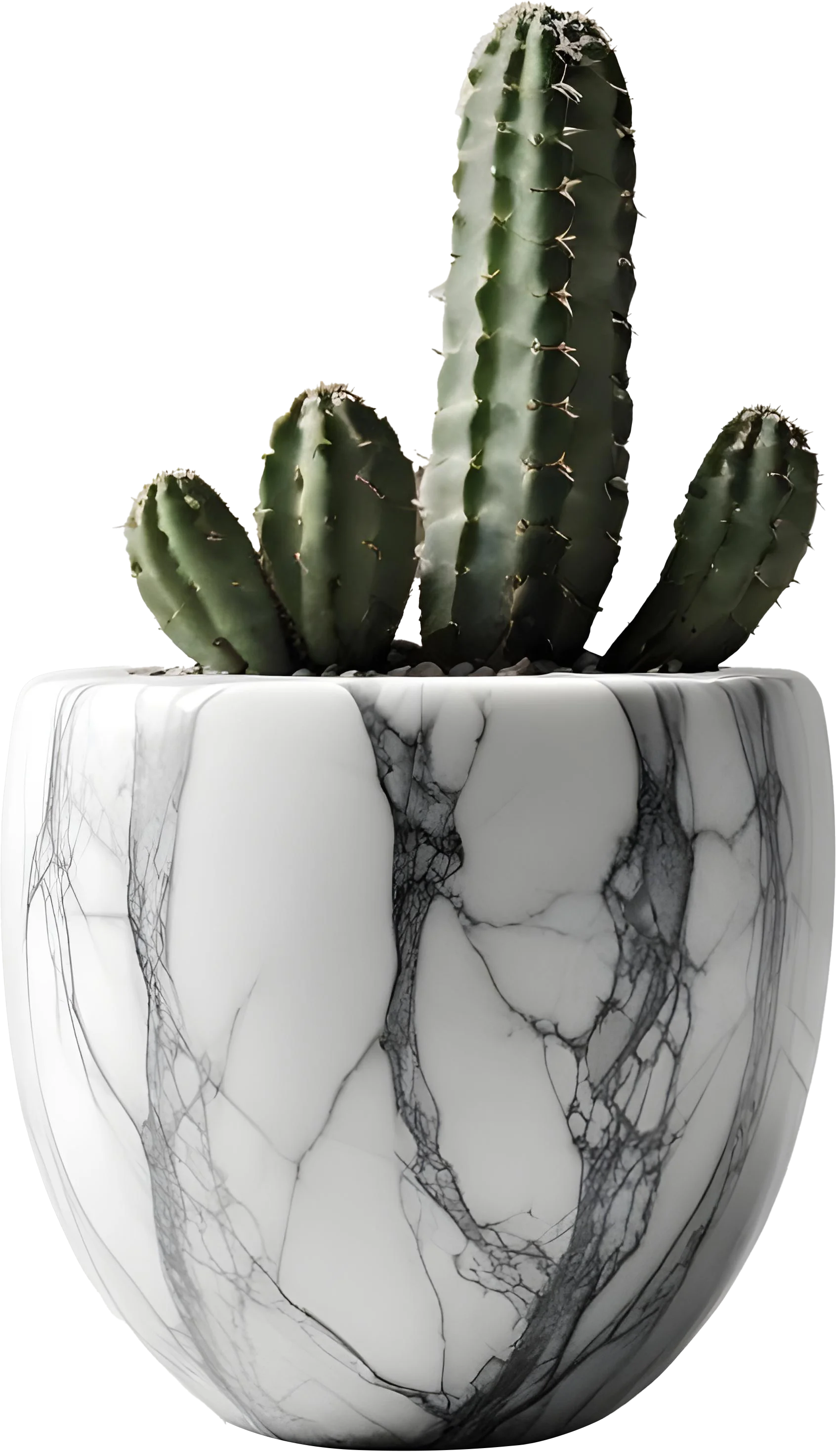 Marble Eternal – Cactus Marble Pot PNG product image (1)