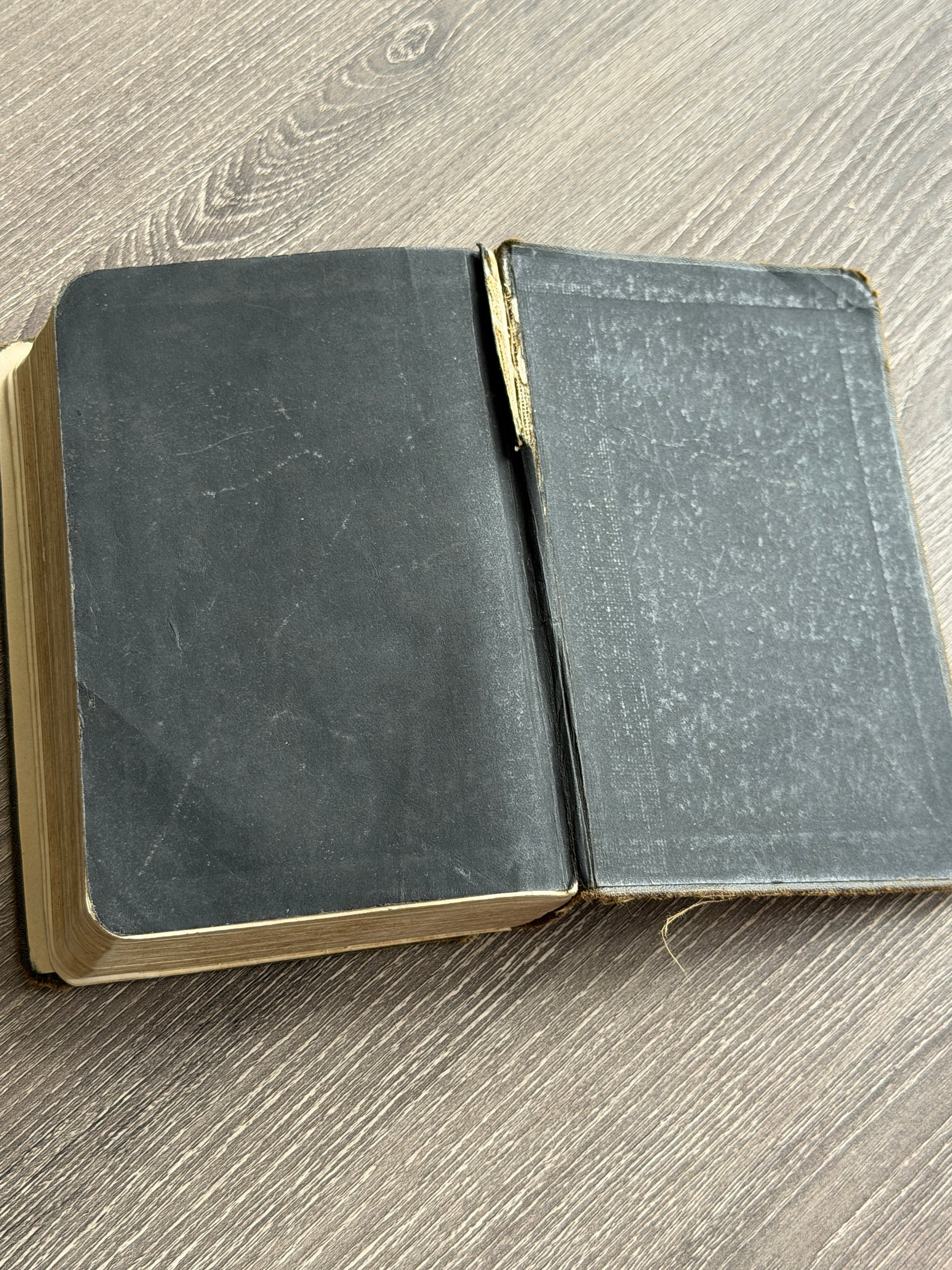 Late 1800s | American Bible Society Bible | Antique Small Format Bible product image (6)