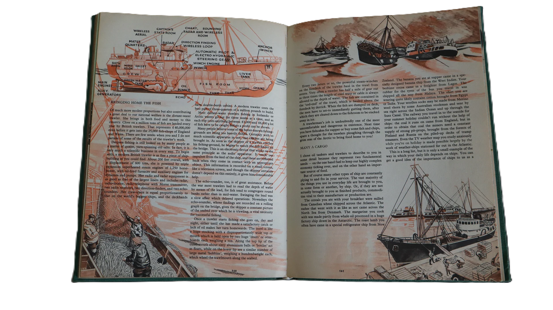 موسوعة الاطفال باللغة الانكليزية 1964 product image (6)