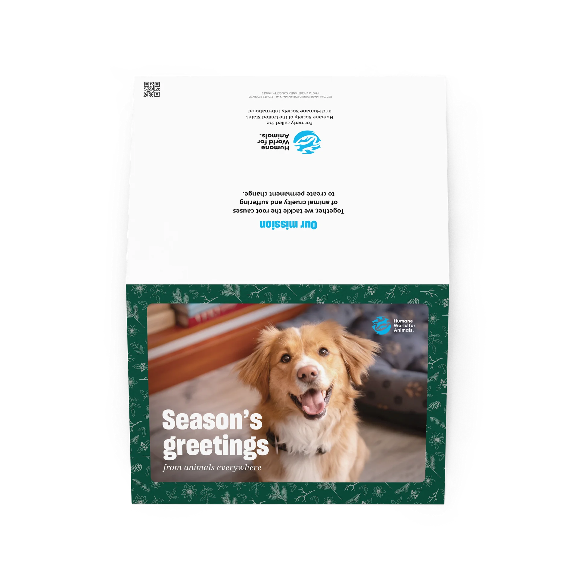 Holiday card - Dog design product image (2)