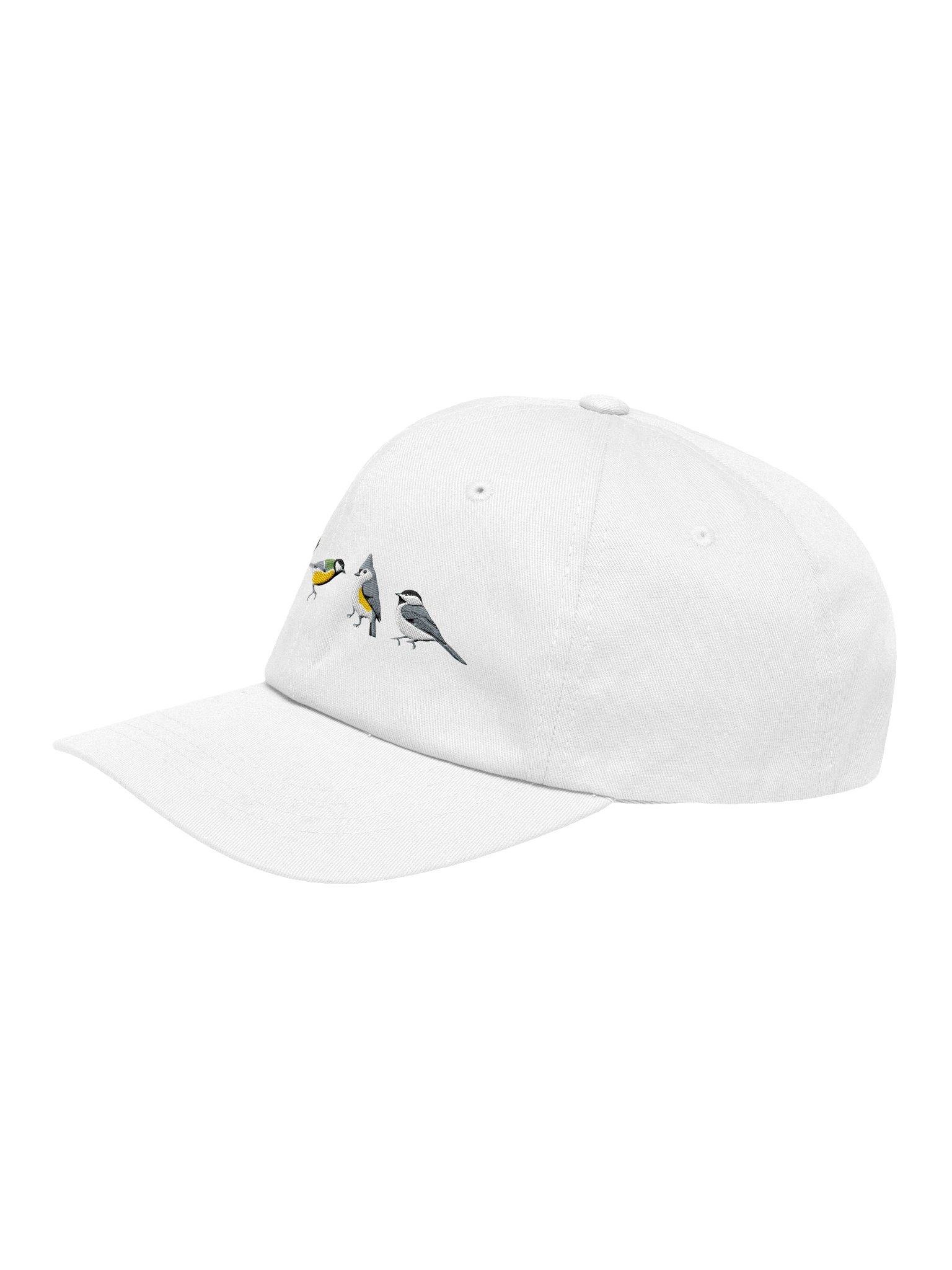 Backyard Birding Embroidered Hat | Carolina Wren, Great Tit, Tufted Titmouse & Chickadee product image (75)