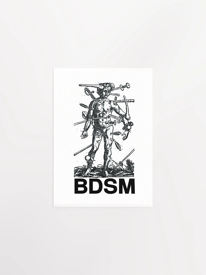 BDSM - Poster product image (2)