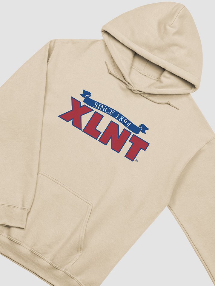 XLNT Foods Logo Hoodie product image (11)