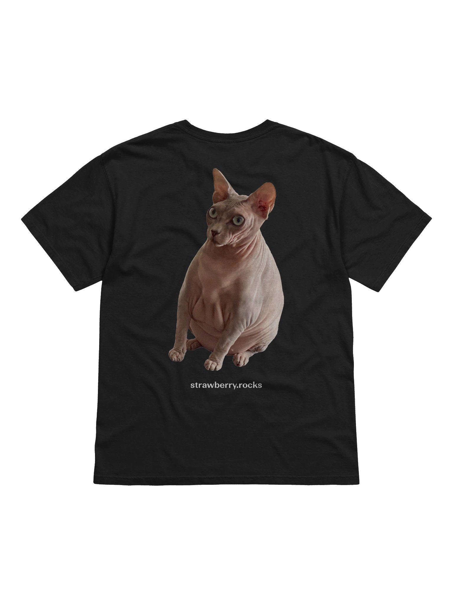 Thiago's cat judging your code product image (2)