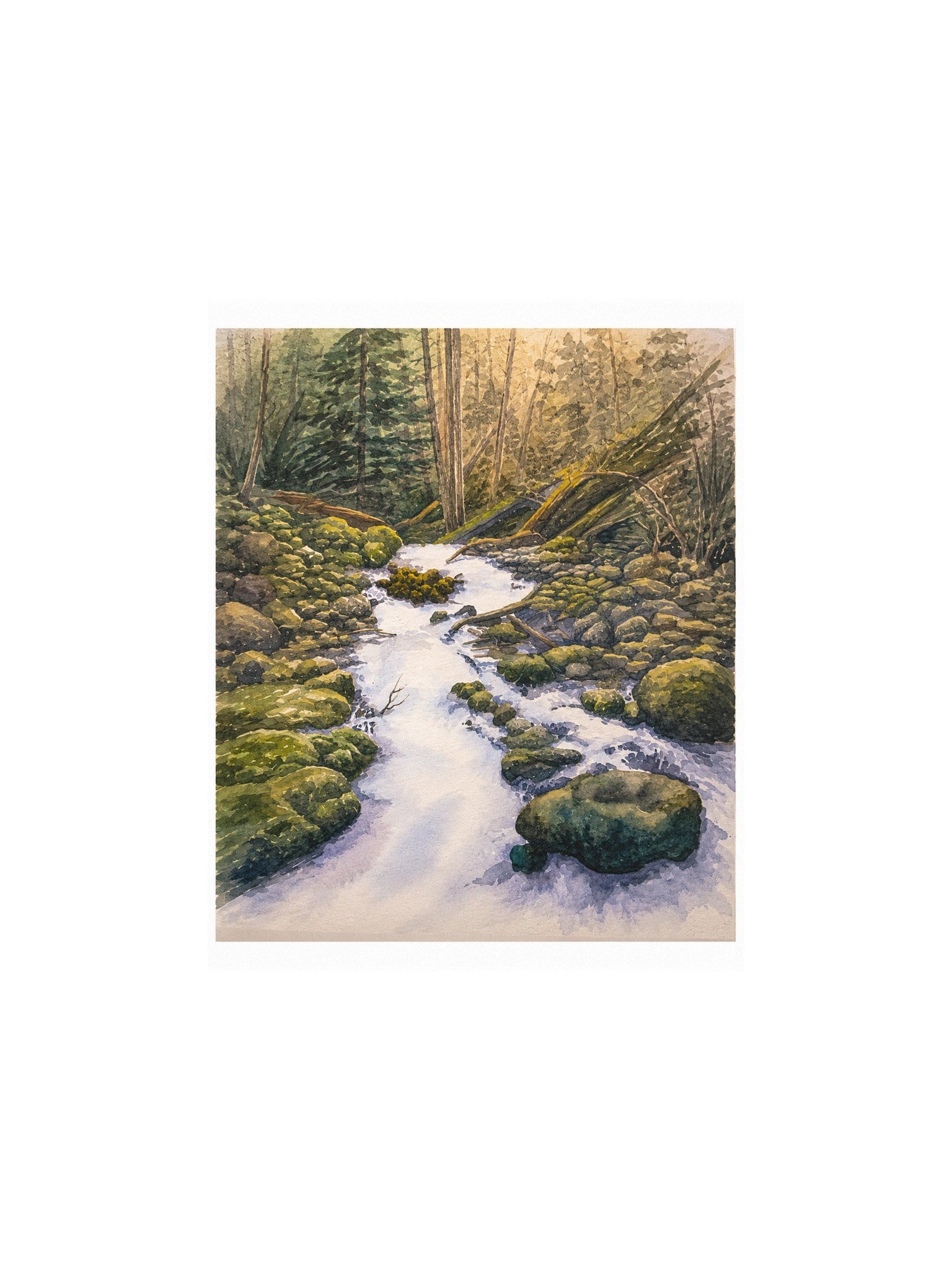 Forest Creek product image (1)