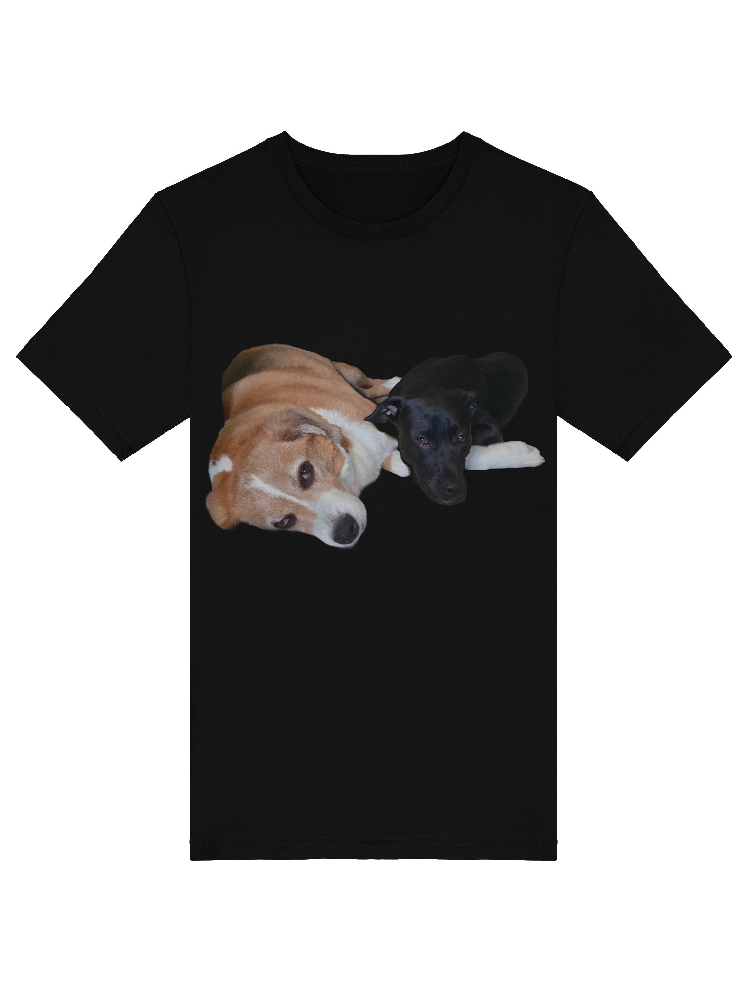 Murphy and Shadow Super Soft Tee product image (54)