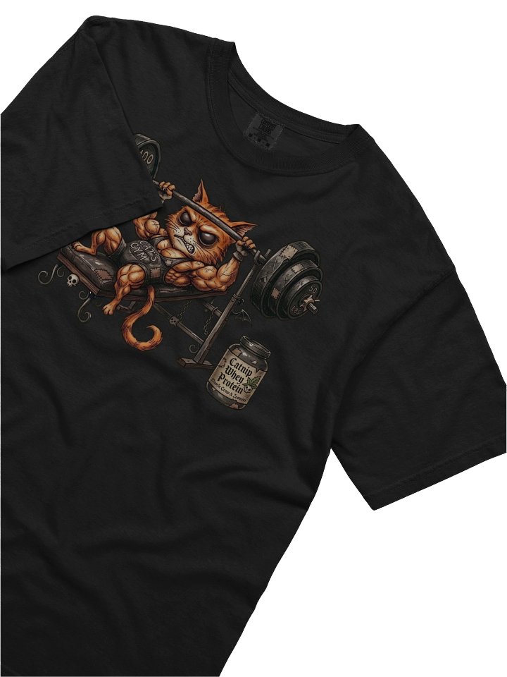 Gym Bench Press T-shirt product image (14)