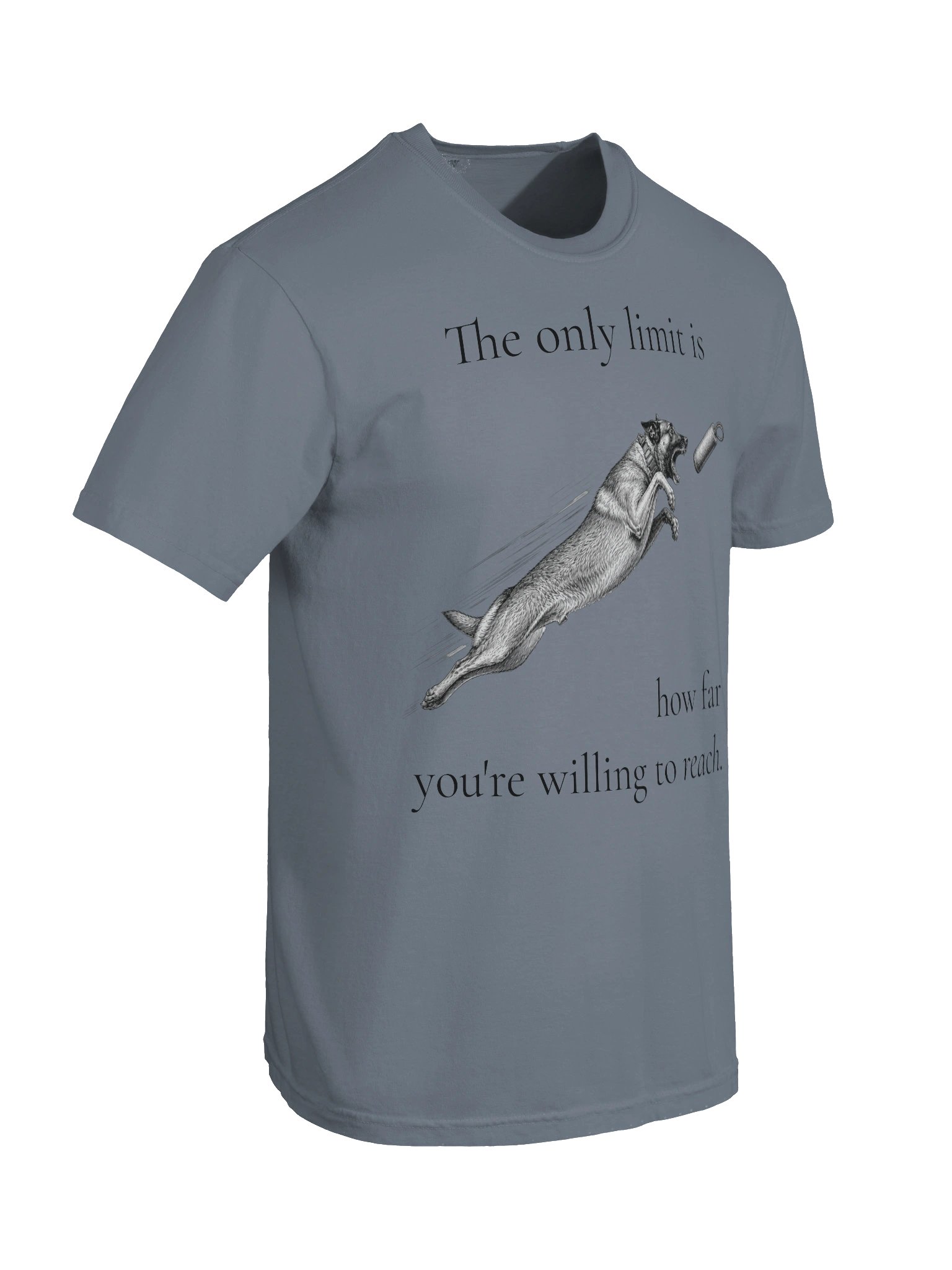 Only Limit Is How Far You're Willing to Reach product image (59)