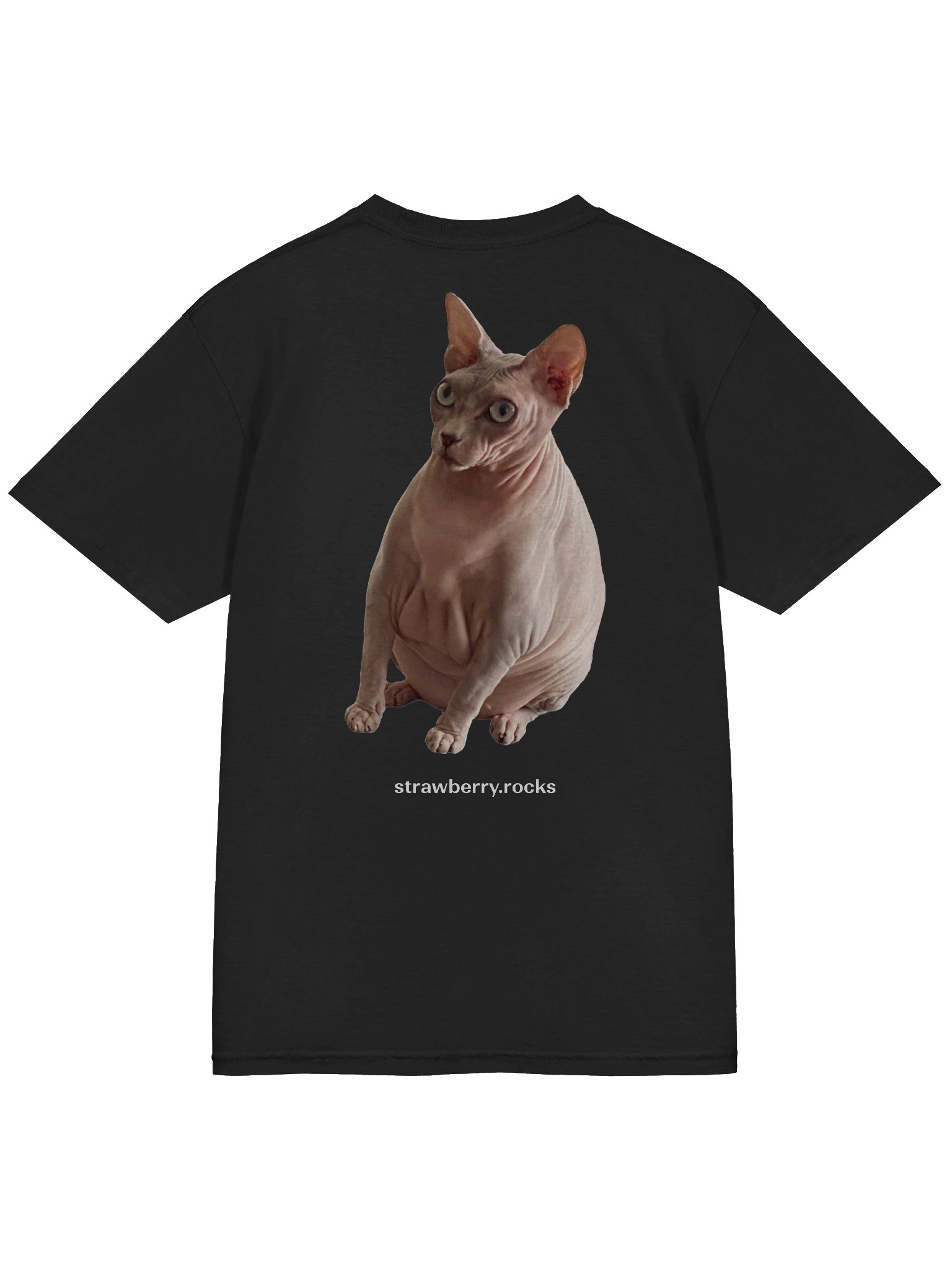 Thiago's cat judging your code product image (4)