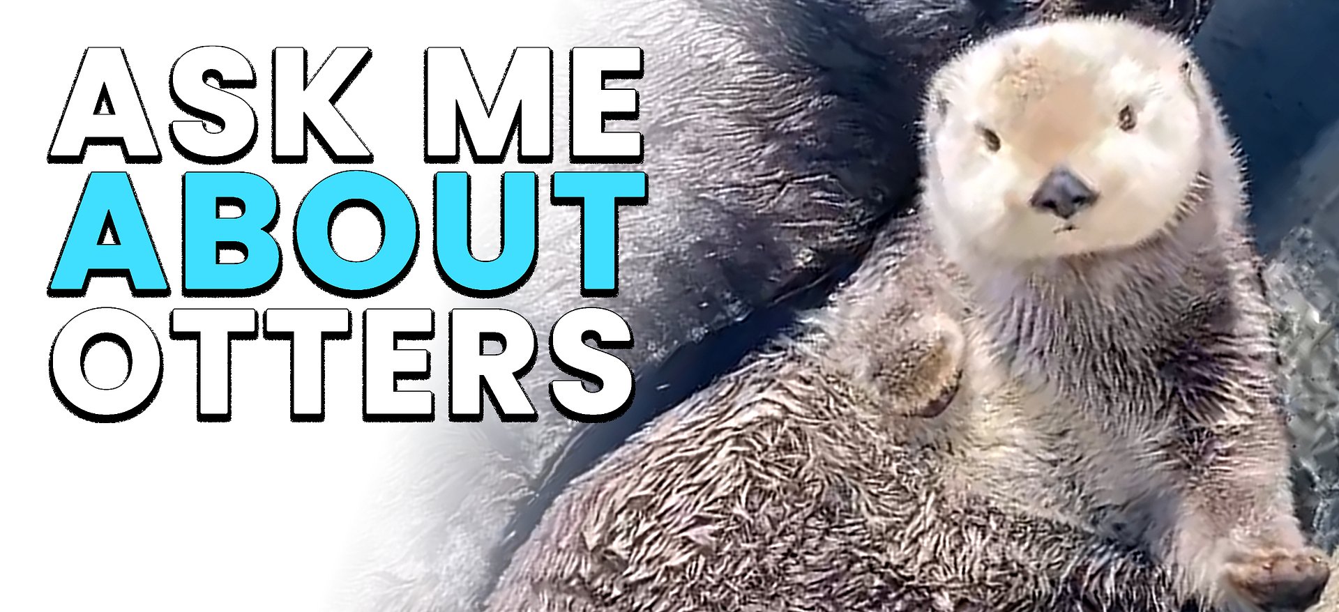 The Queen's Mug product image (5)