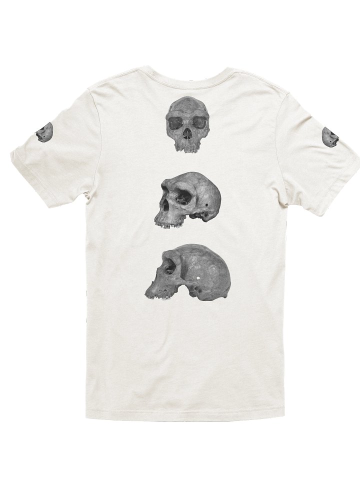 Heidelbergensis Fossil Skull T-Shirt Light product image (10)