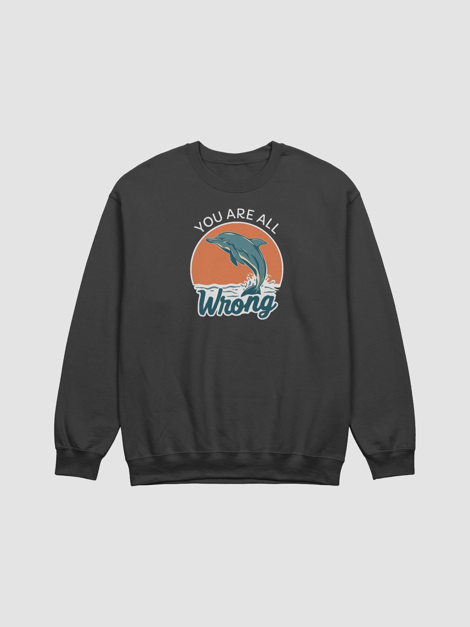 You Are All Wrong Funny Sweatshirt product image (1)
