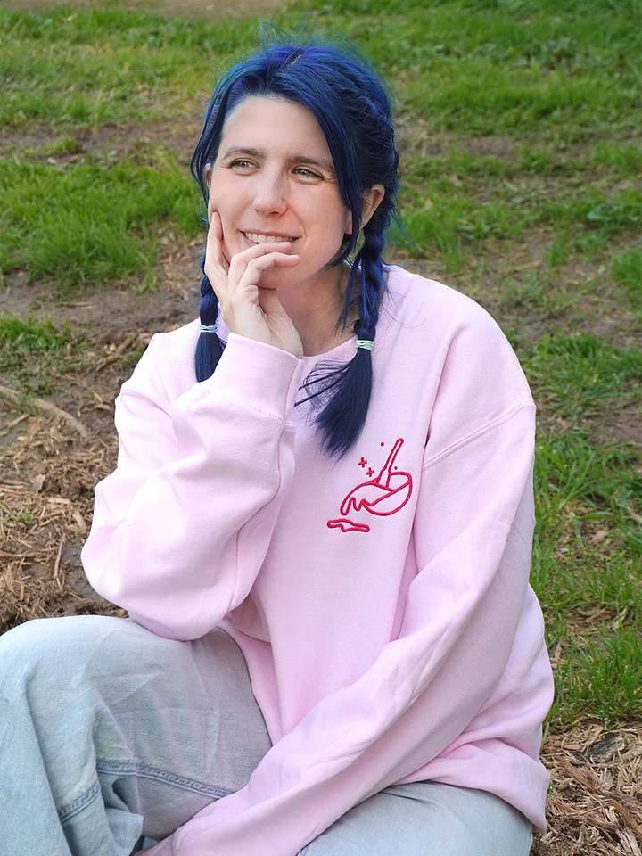 The Amateur Embroidered Sweater (Pink) product image (2)