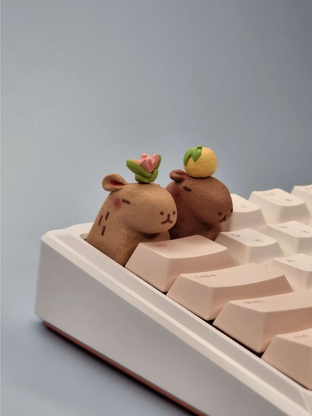 Capybaras product image (1)