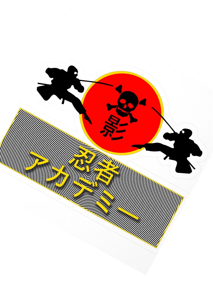 shadow ninja academy product image (2)