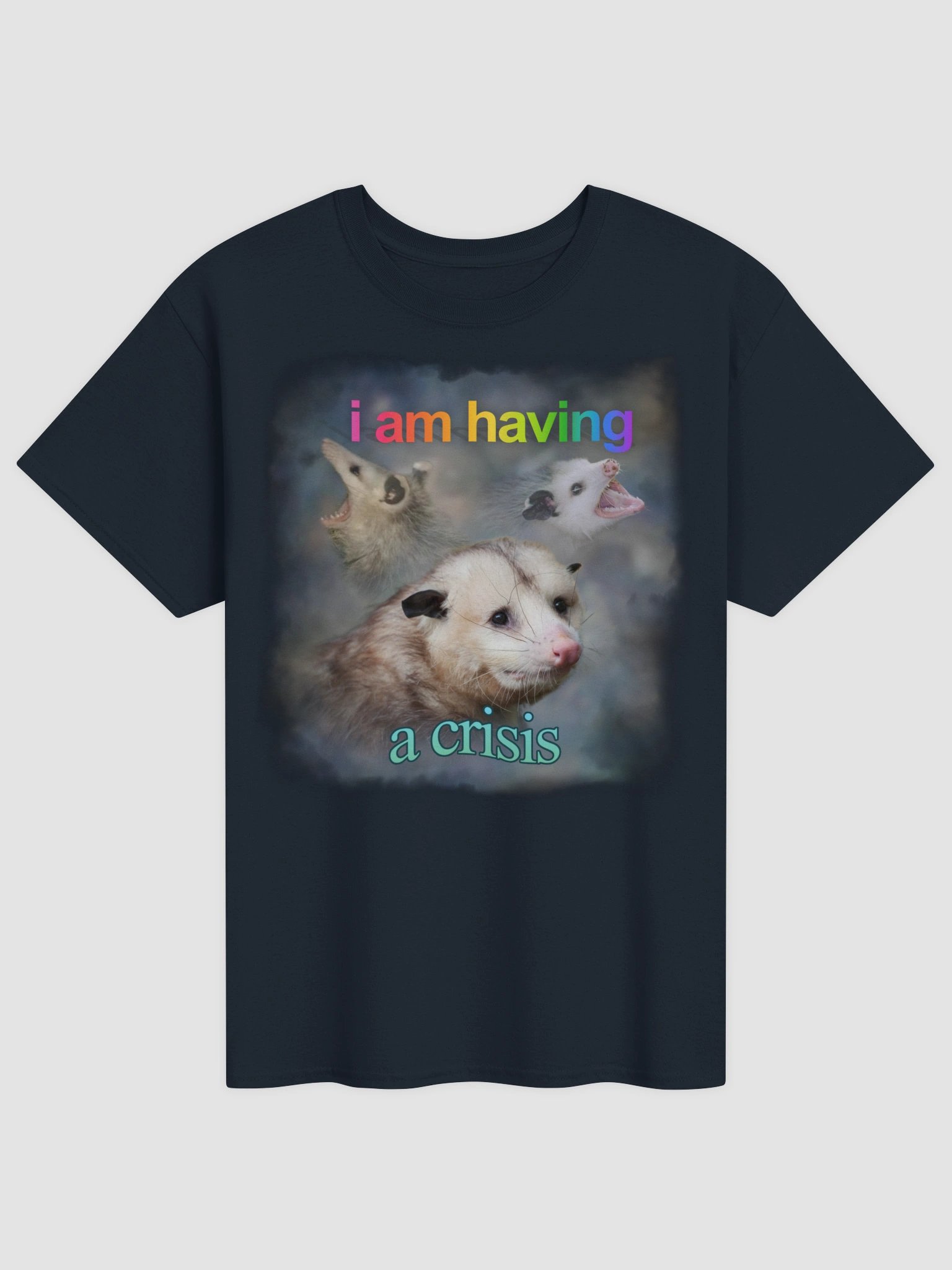 I am having a crisis possum T-shirt product image (25)