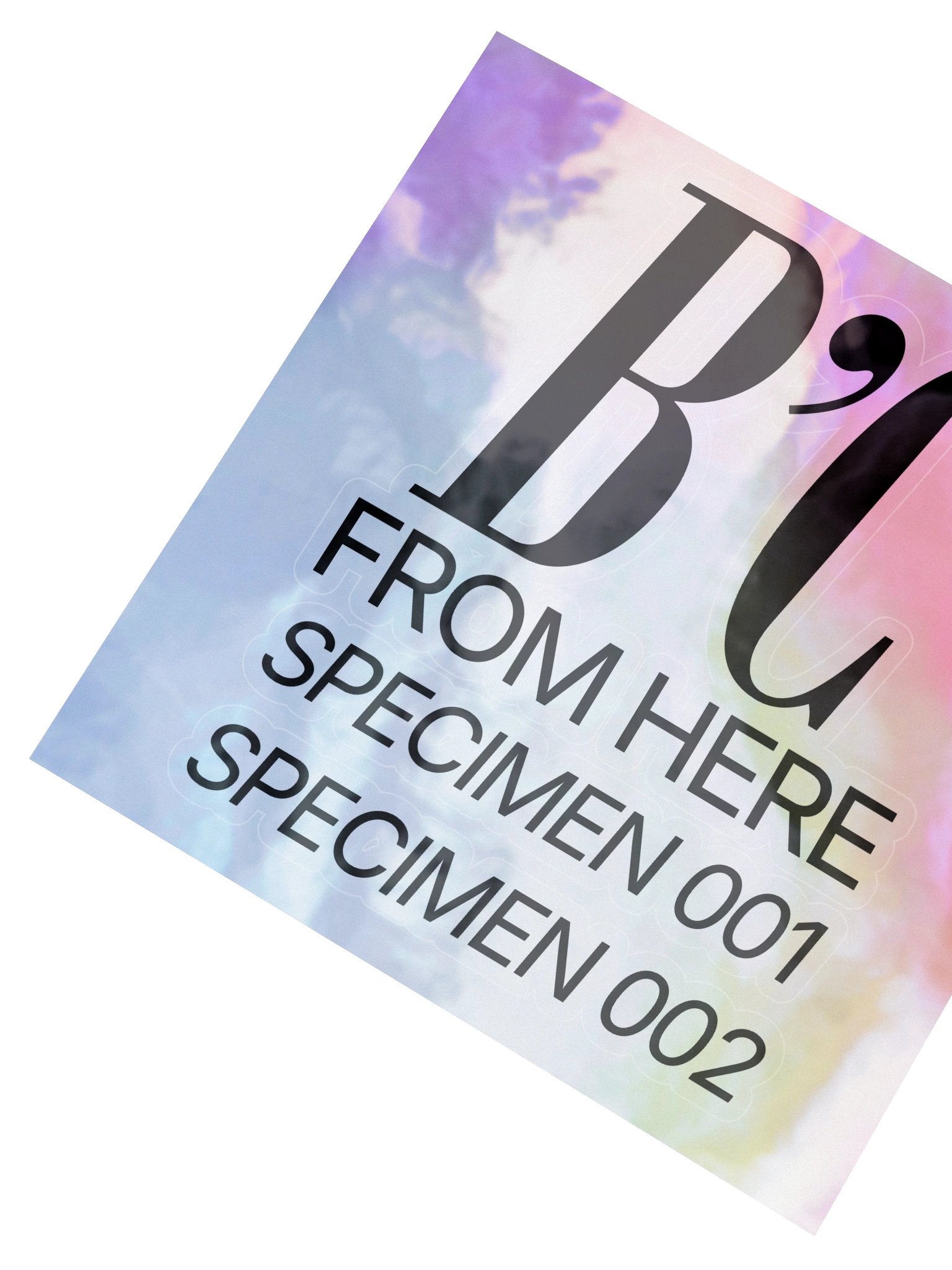 Specimen // Stickers product image (2)