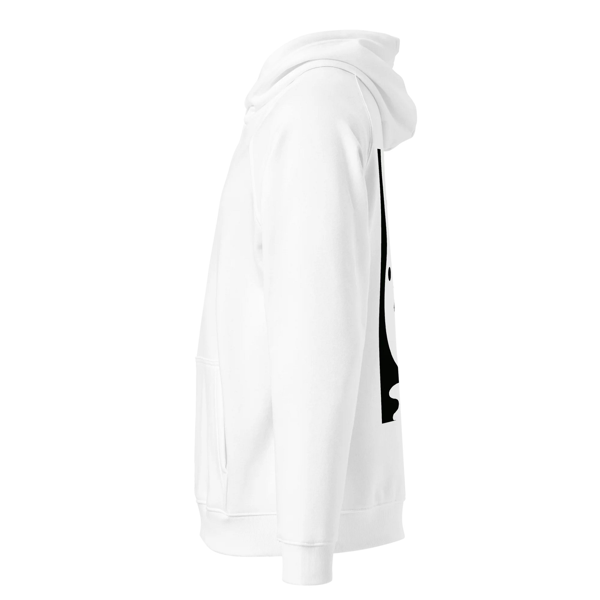 SOL'S Unisex Eco Raglan Hoodie product image (3)