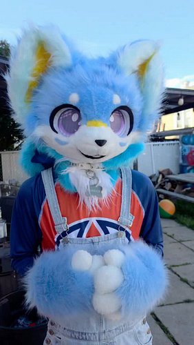 So apparently huskies and cats don't get along...

#furry #furryfandom #furrycommunity #furrytiktok #funnyvideos