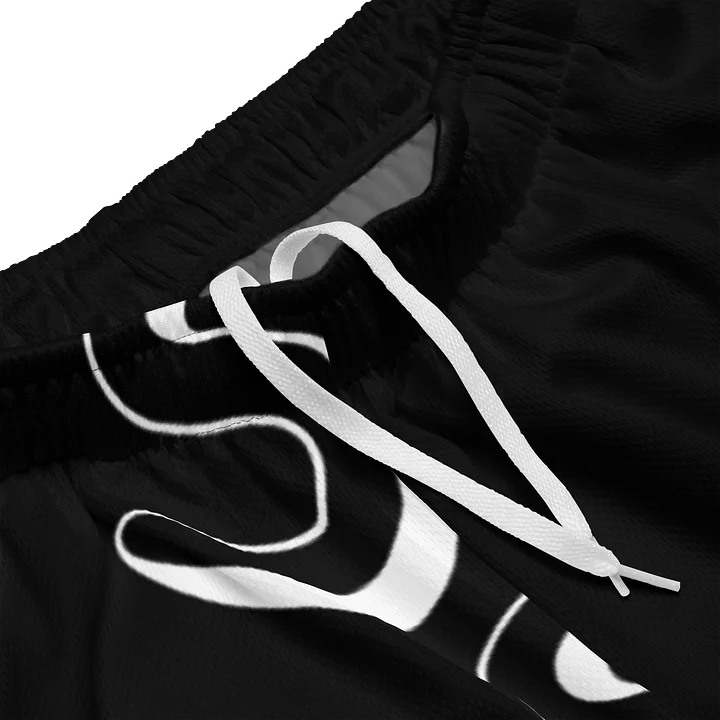 Summer Standard Mesh Shorts product image (2)