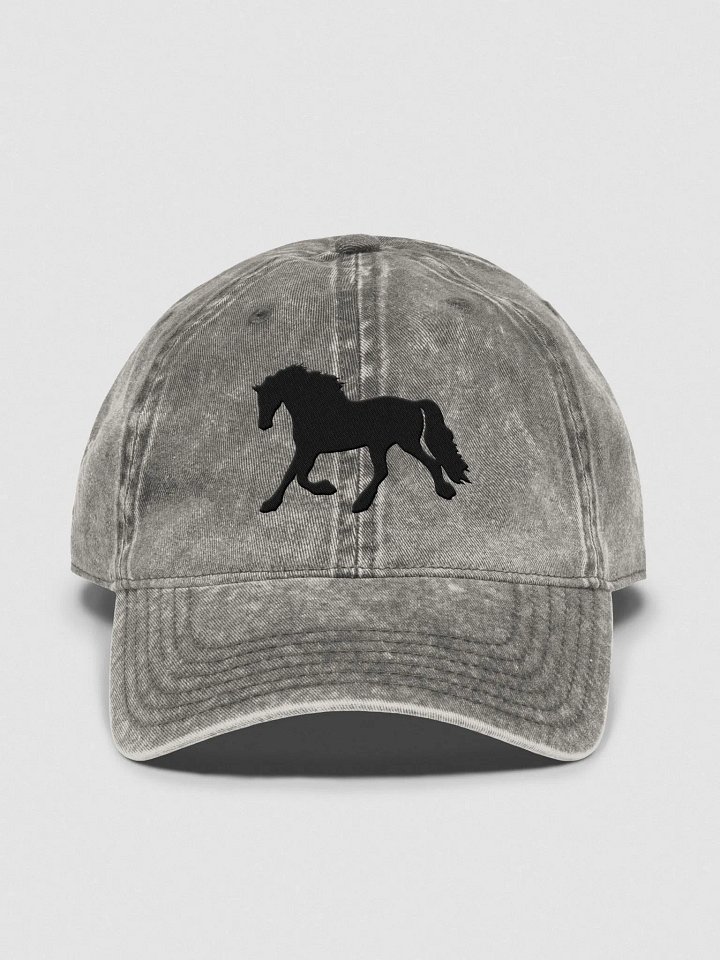 Moriesian Vintage Wash Hat product image (2)