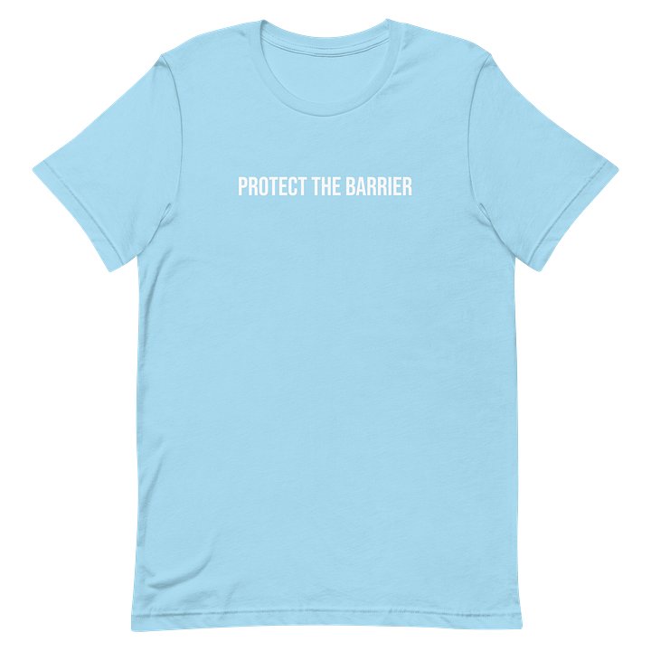 Protect the Barrier product image (20)