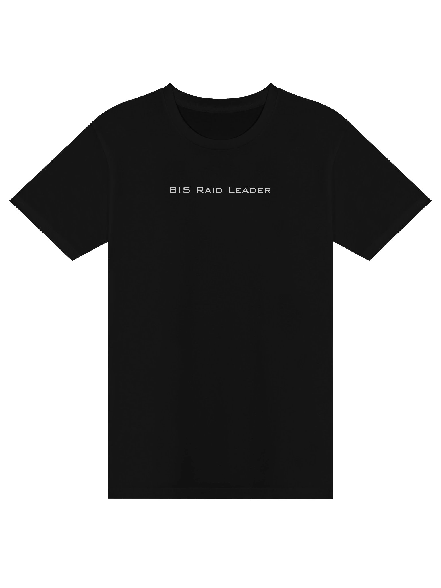 BIS Raid Leader product image (1)