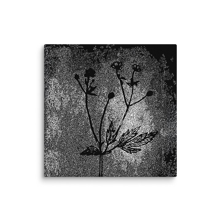 Visionary Canvas Collection - Wild Flowers Dark Stylish product image (1)