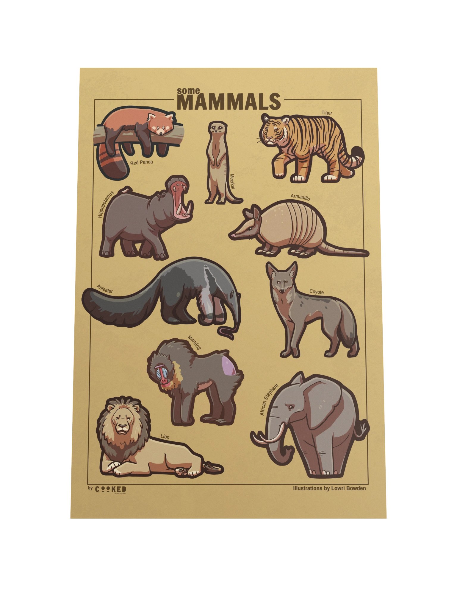 Another Abundance of Mammals Poster - 10 Illustrated Mammals Poster - Original Illustrated Poster product image (1)