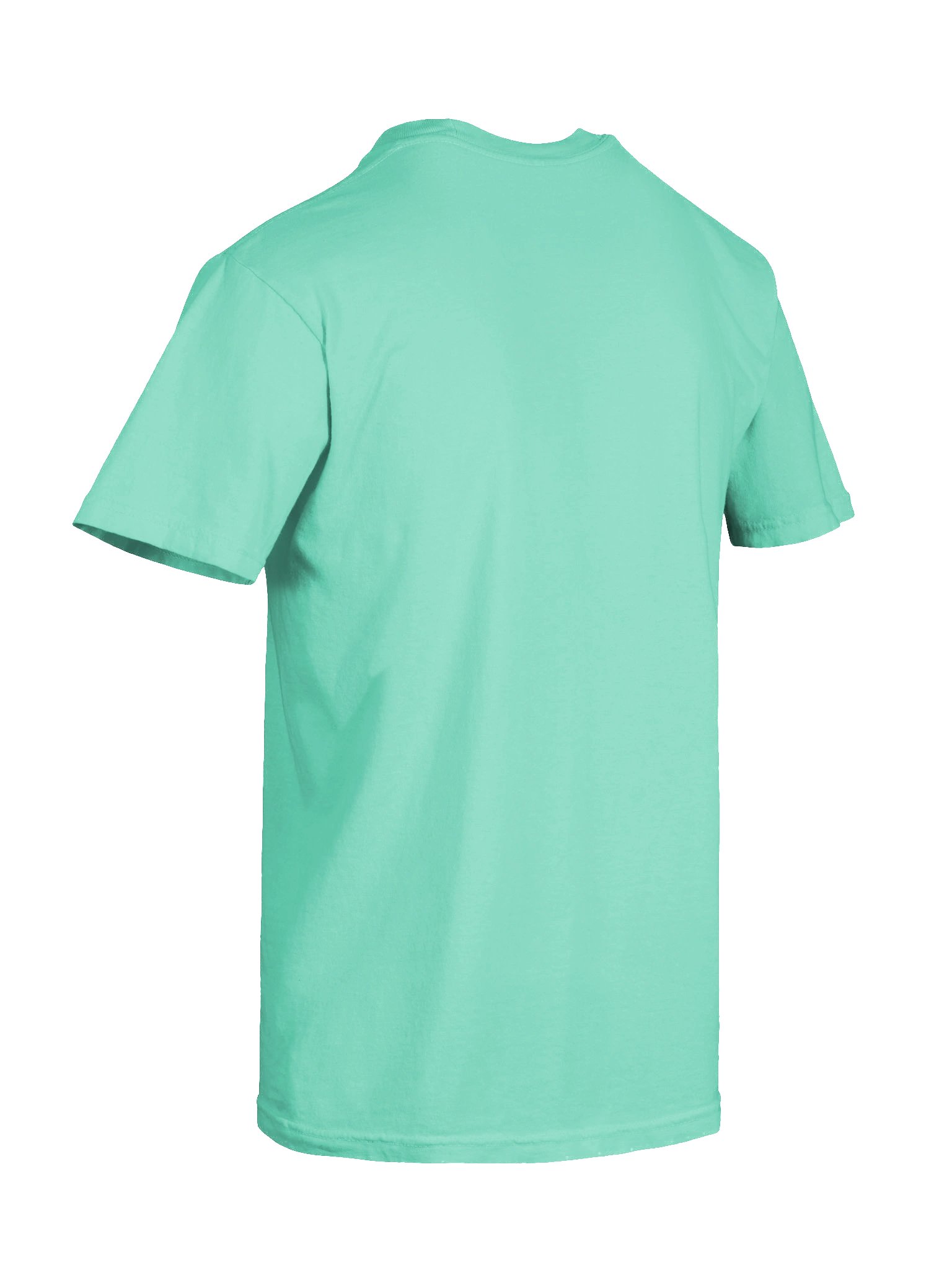 Ferrets | Sneak Steal Sleep | T-Shirt product image (40)