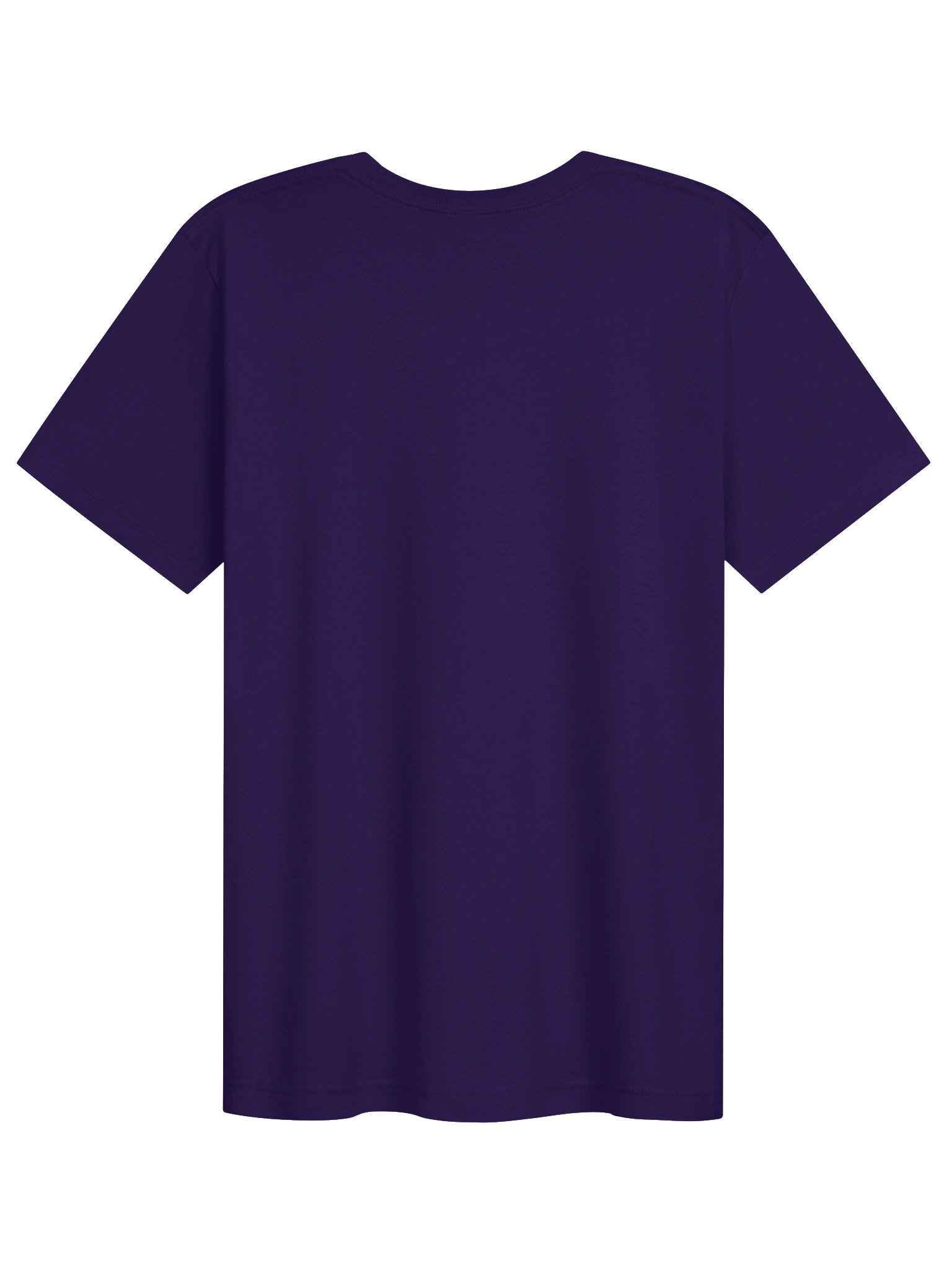 EVERYTHING ELSE IS BULLSHIT TEE product image (12)