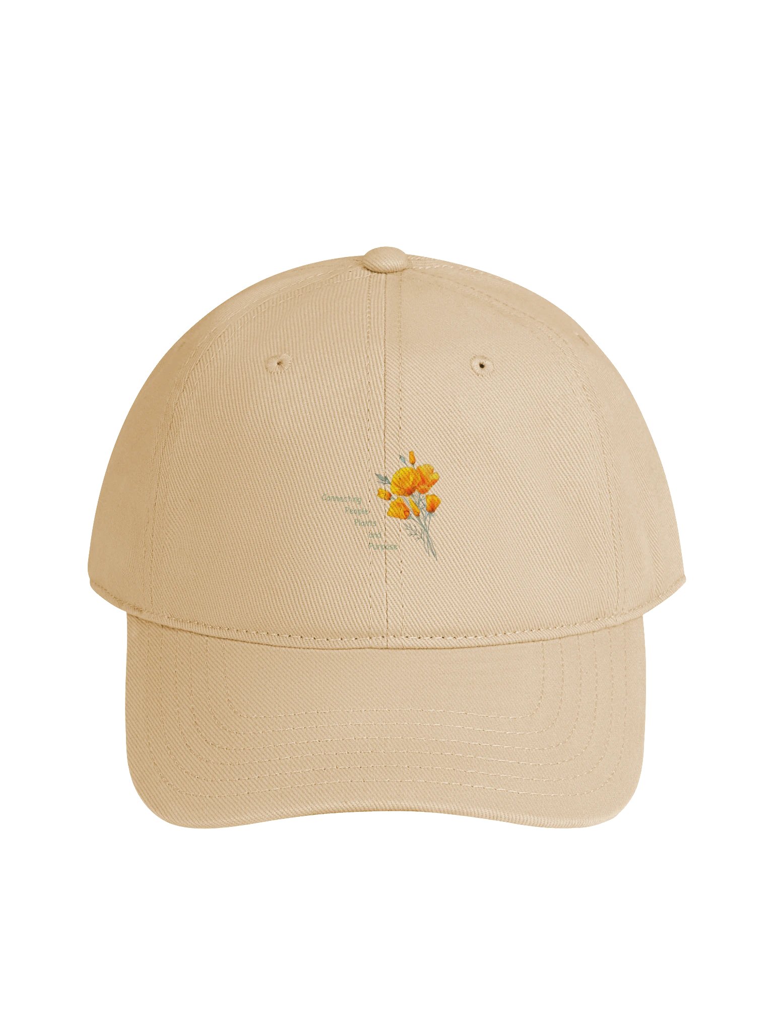 CHTN Otto Cap Low Profile Baseball Cap product image (25)