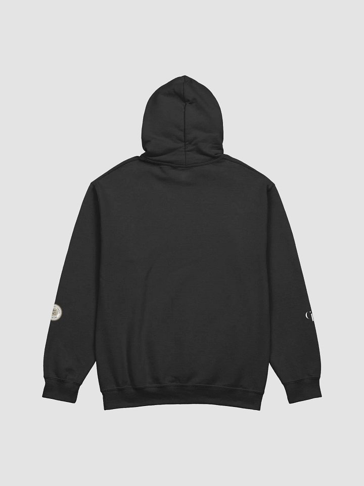 ORANGE ALT NigNog Hoodie product image (2)