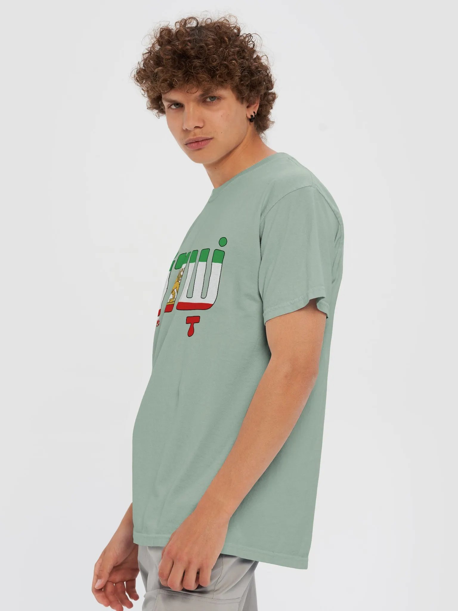 Shalom (שלום) in Iranian Flag (Pre Islamic) product image (6)
