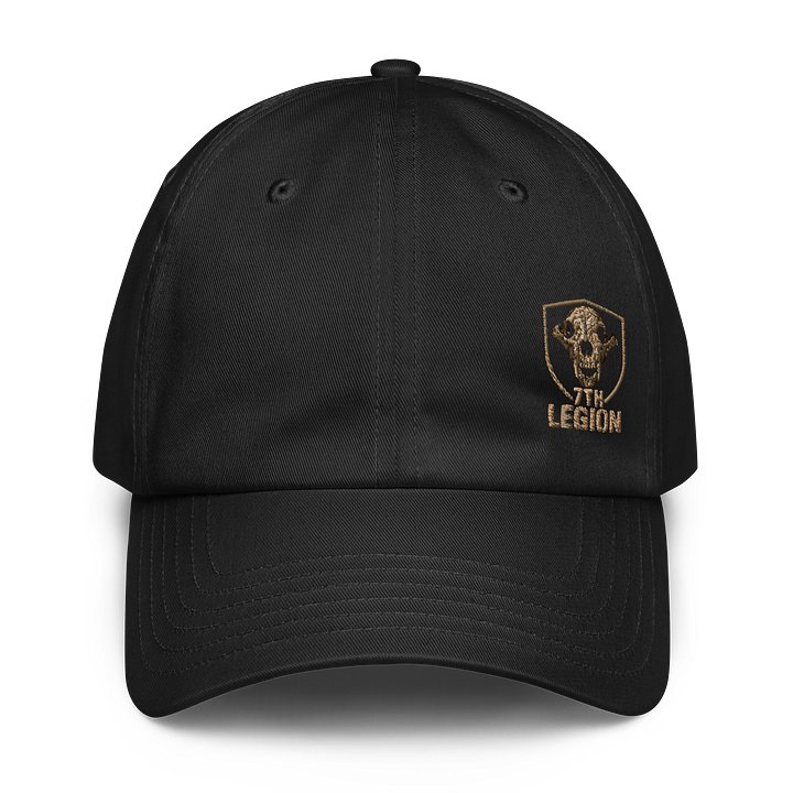 Dads hat product image (1)