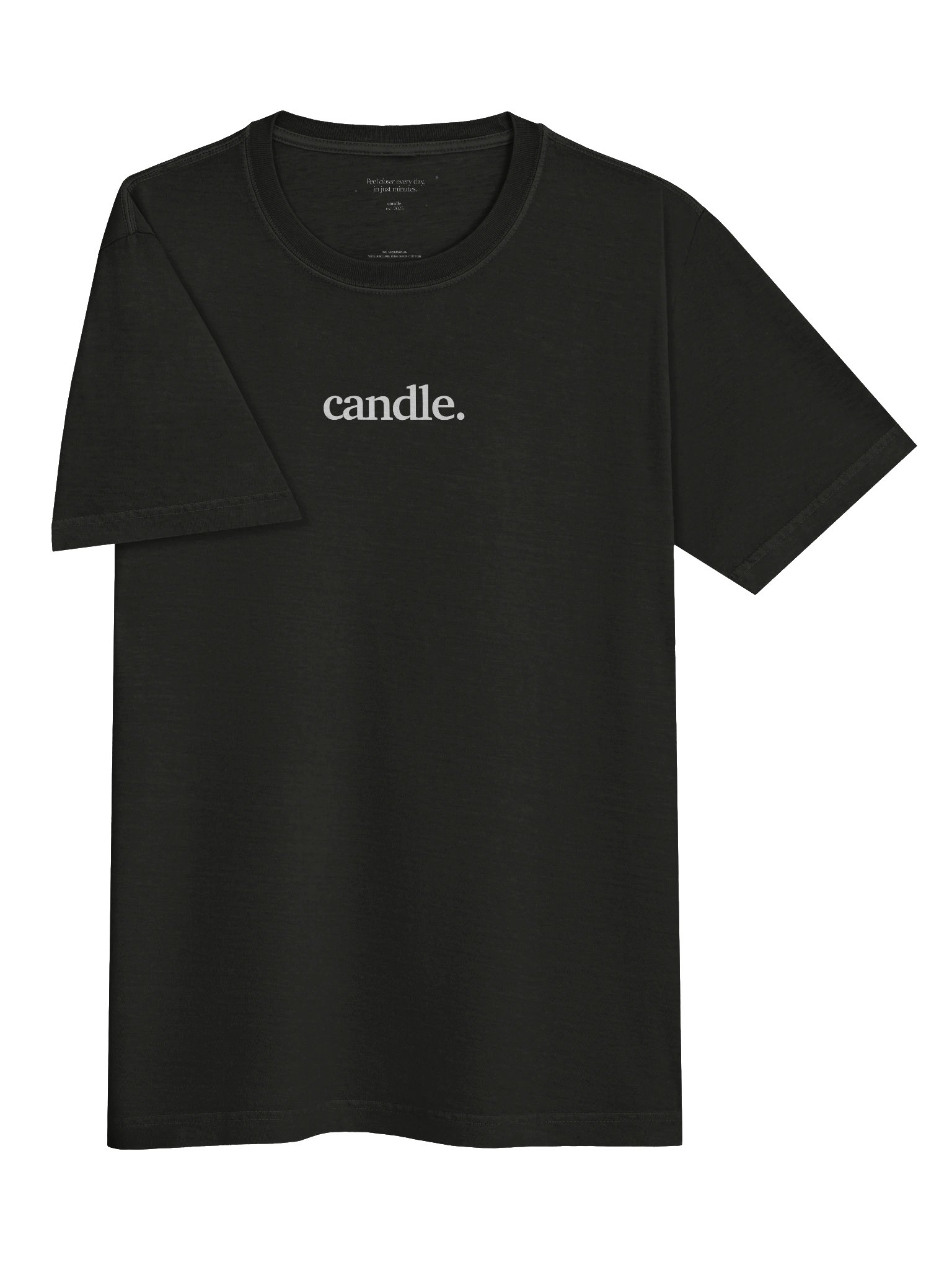 Center Logo Heavy Tee product image (3)