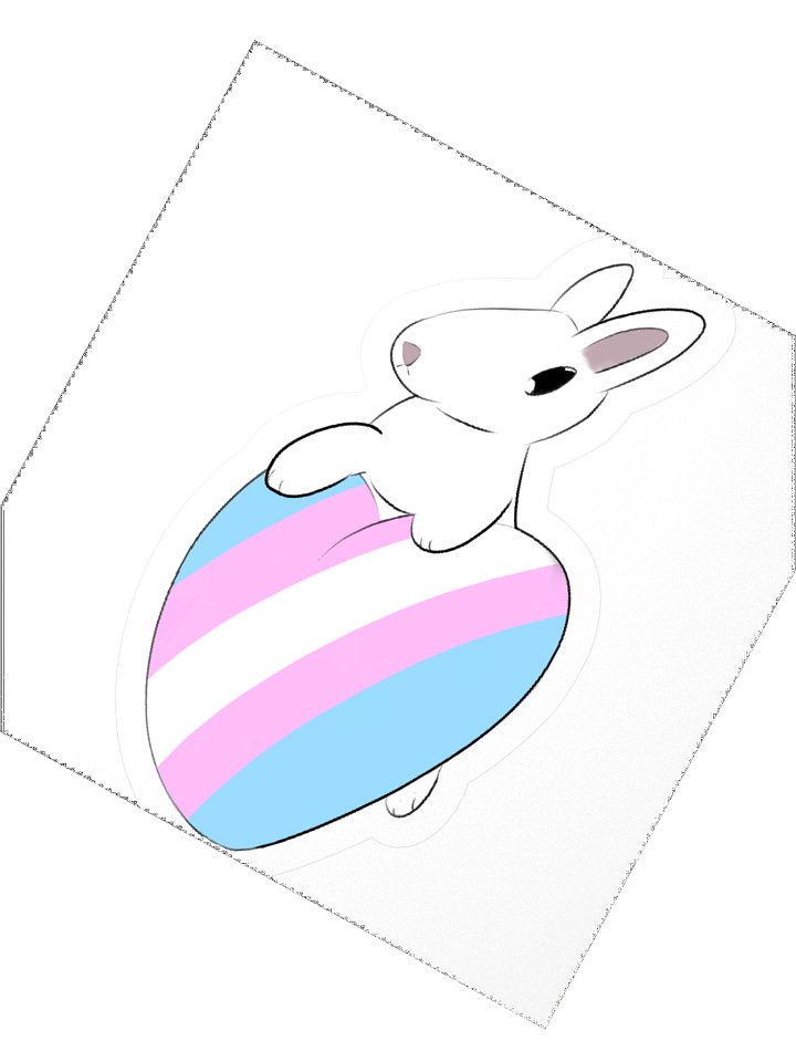 Pride is for EVERYBUNNY (Transgender) product image (4)