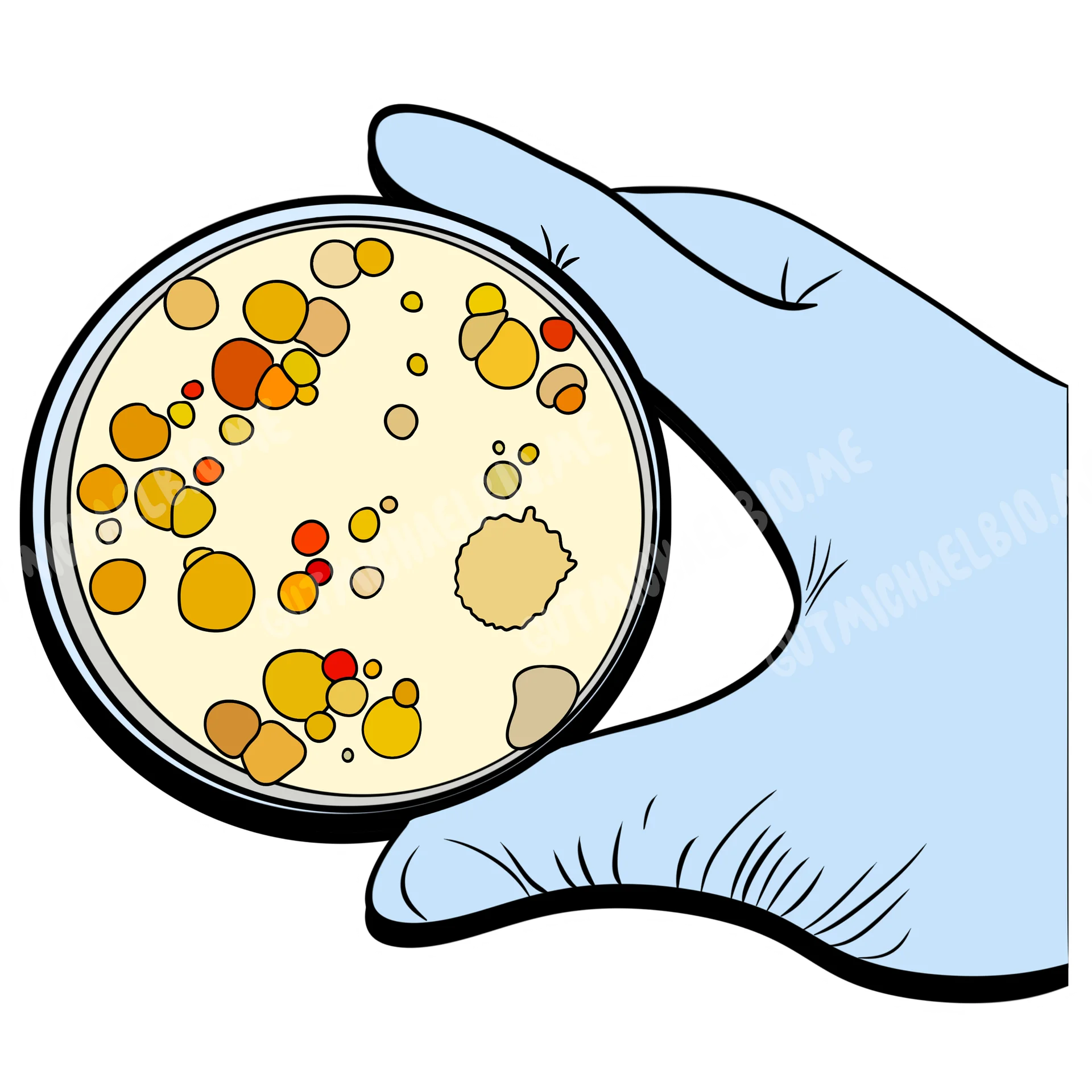 Bedazzled Petri Dish - Sticker product image (2)