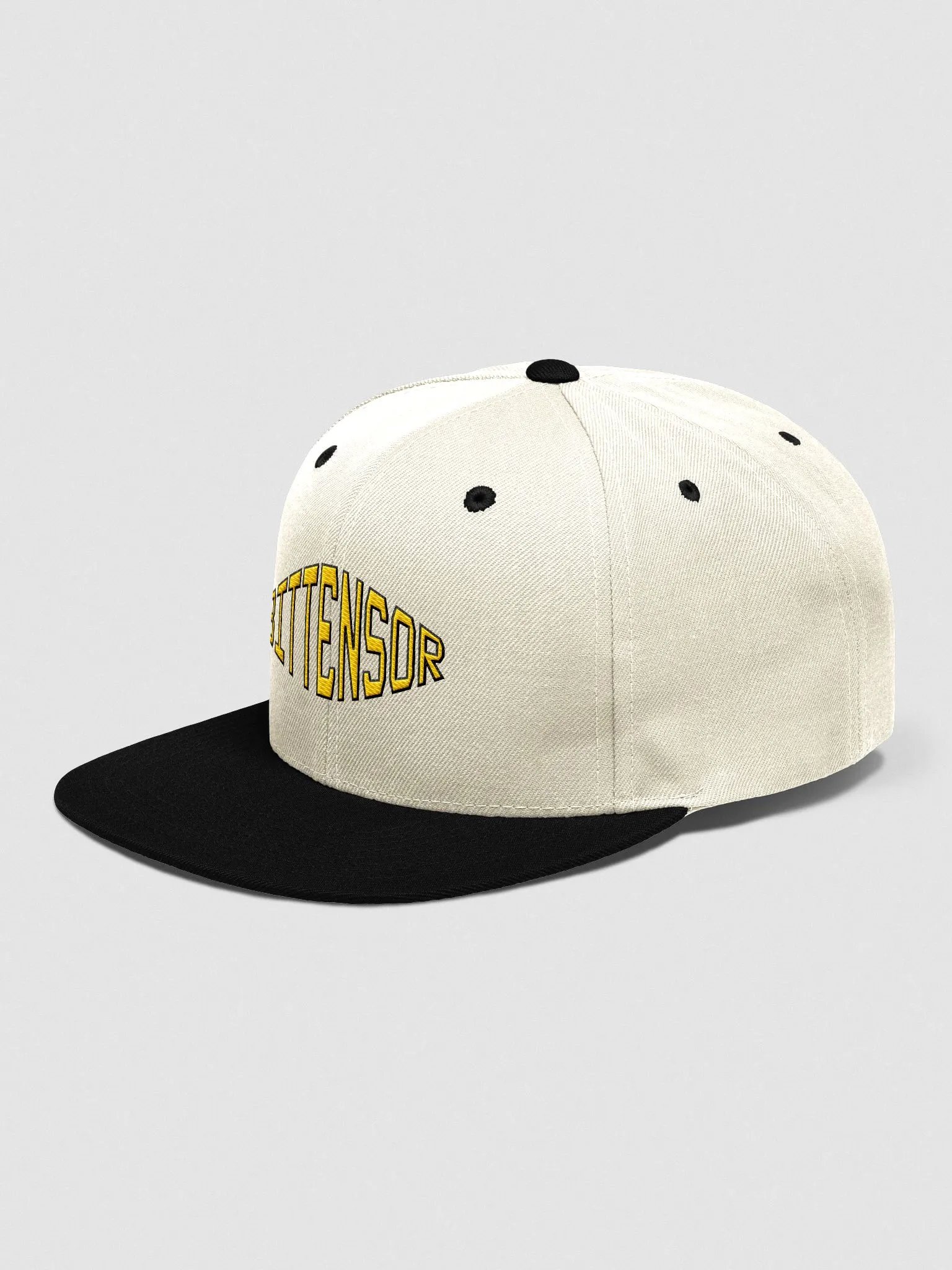 (13/20) Bittensor Cap product image (3)