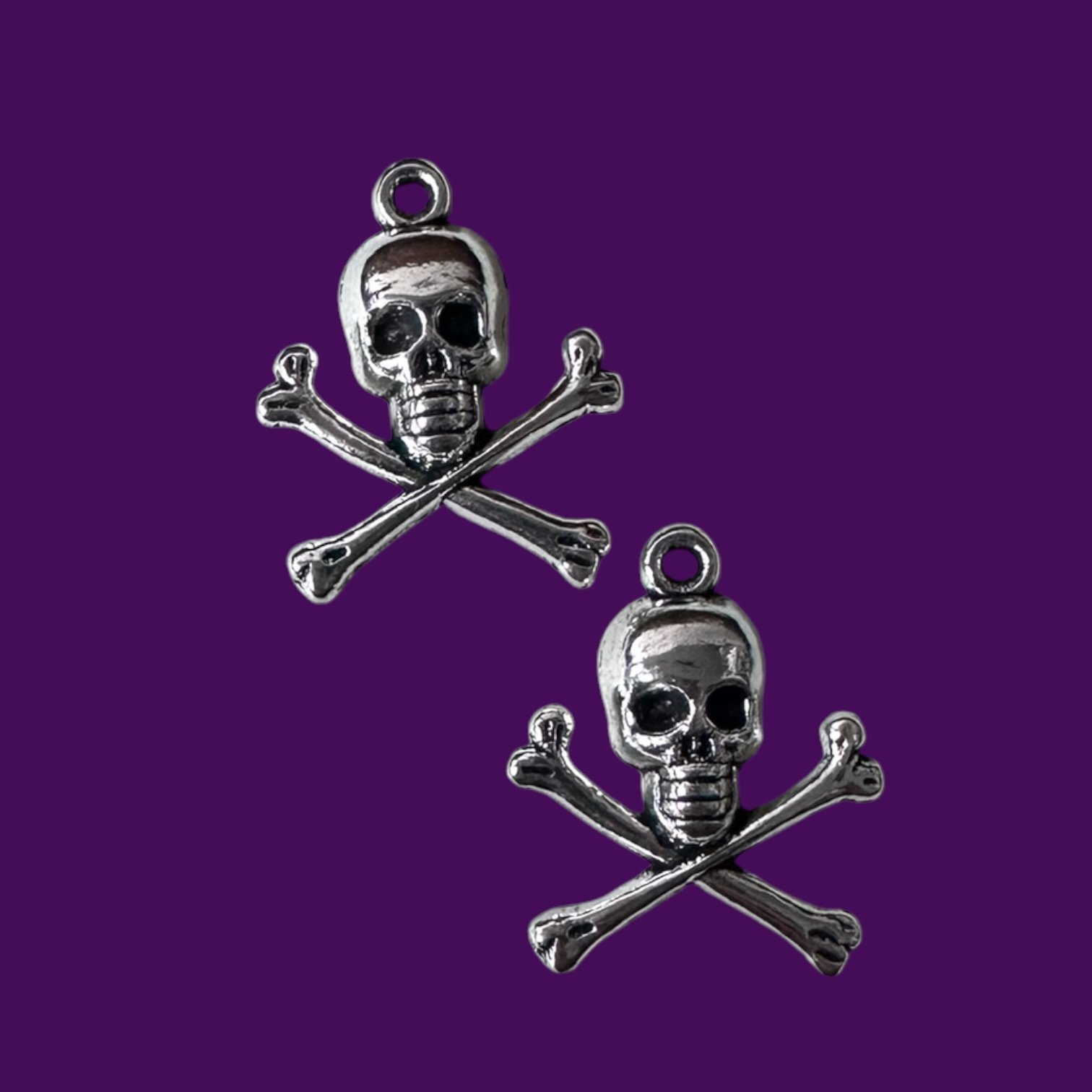 Skull and Crossbones Silver Whinny Winners Braid and Bridle Charms for Horses | Little Shop of Ponies product image (1)