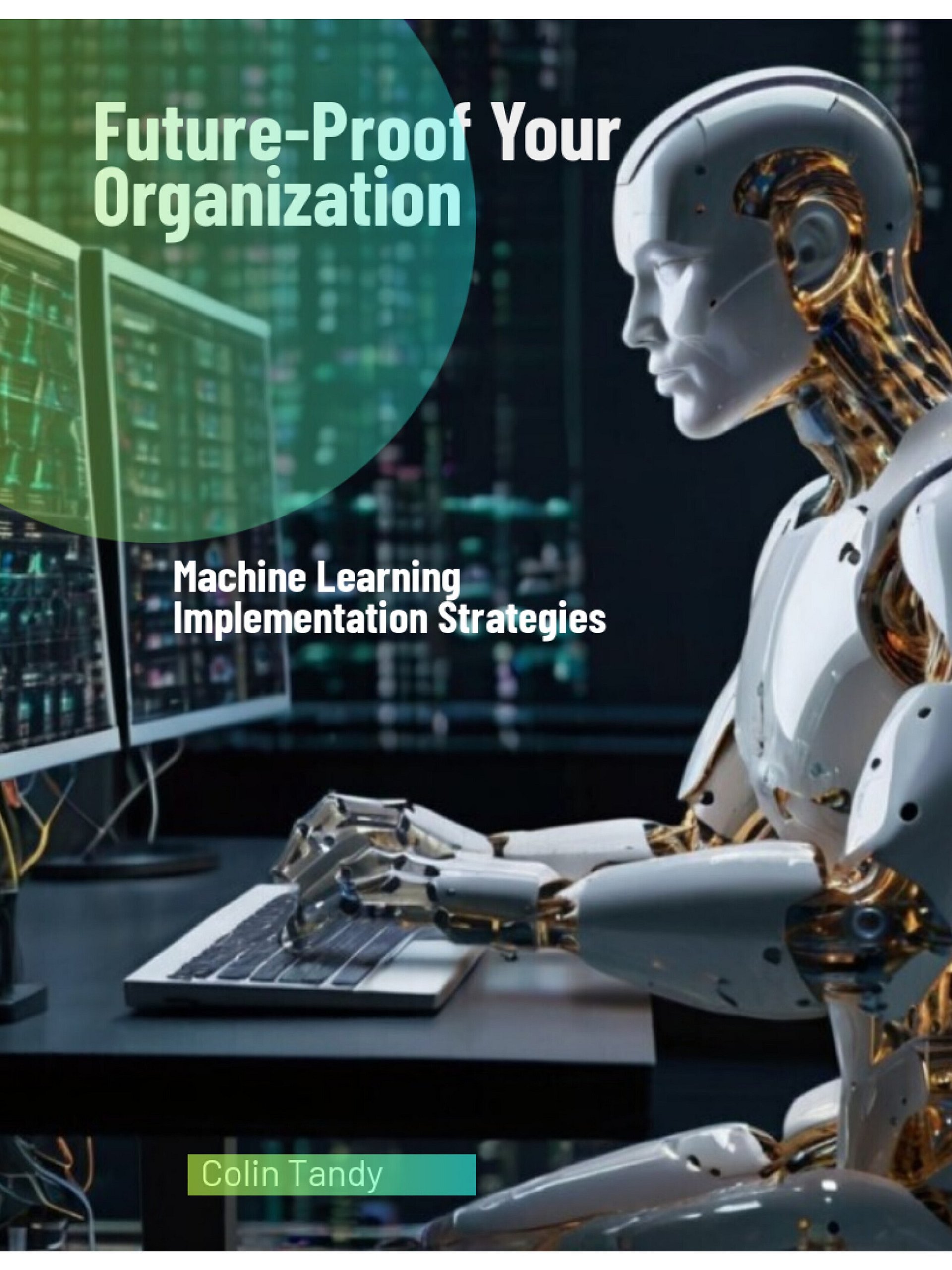 Future-Proof Your Organization: Machine Learning Implementation Strategies product image (1)