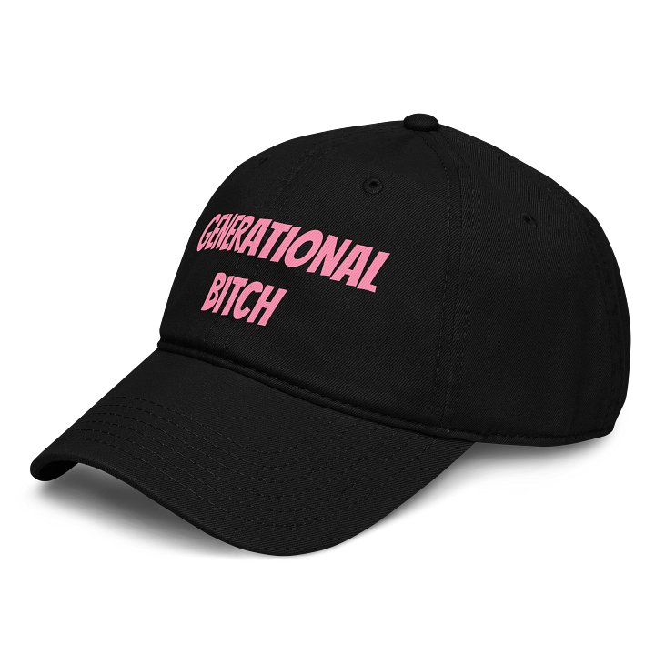 GENERATIONAL BITCH Vintage Hat product image (2)