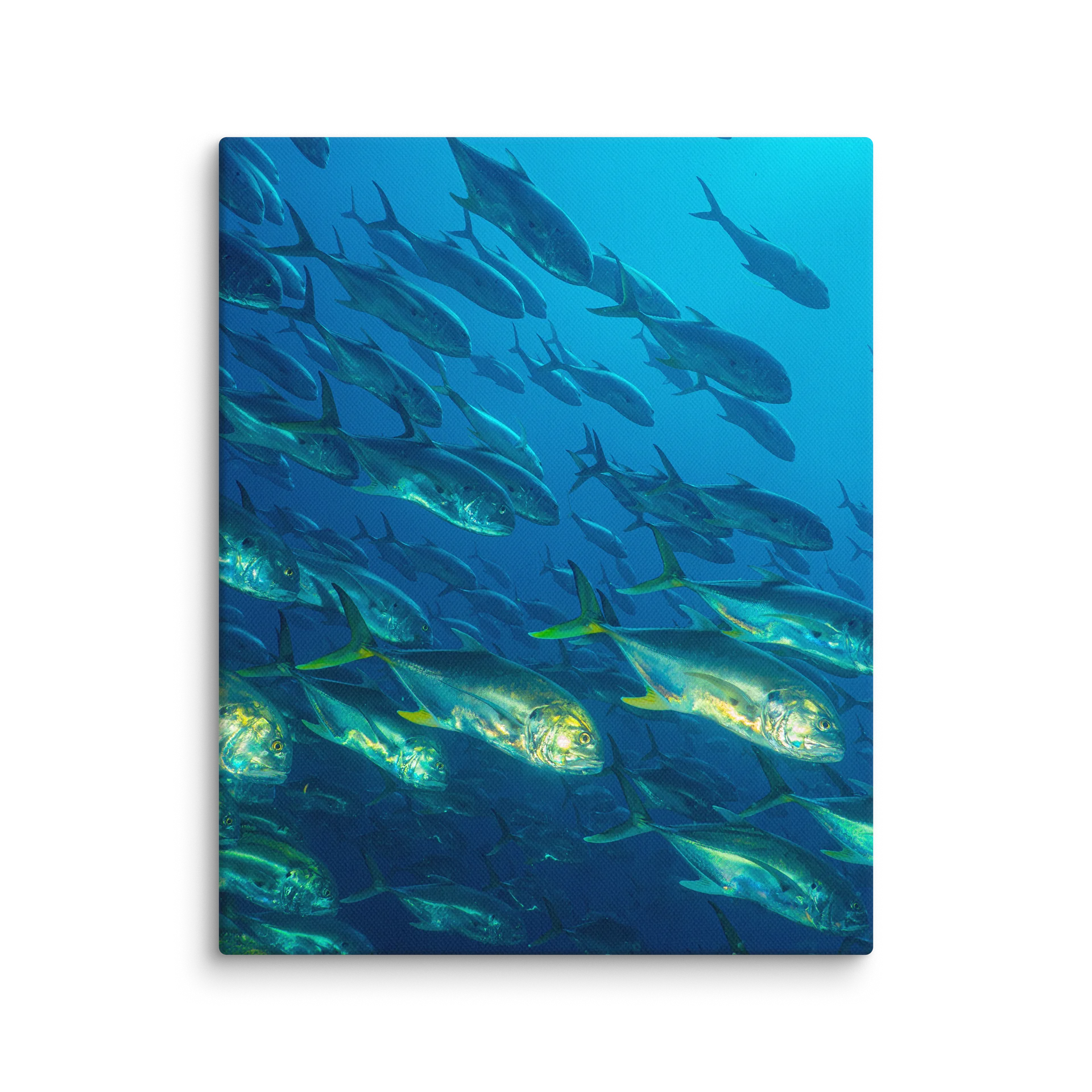 Jack Swirl Canvas Print product image (1)
