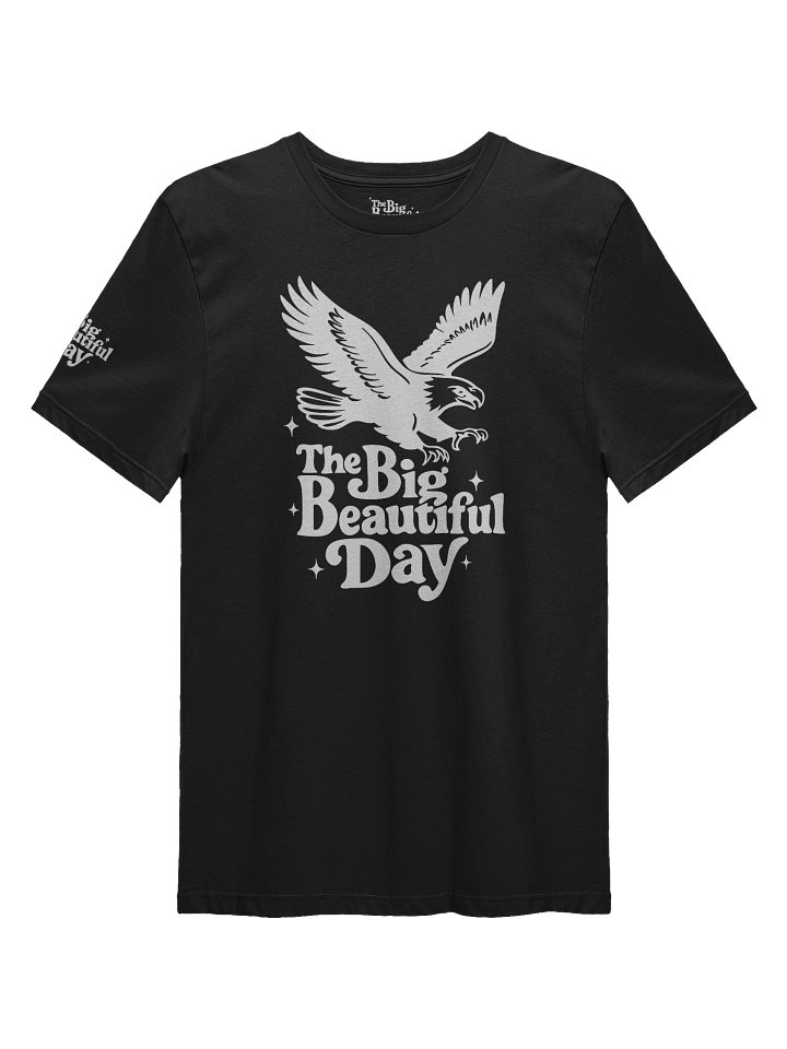 Soaring Big Beautiful Day Tee | Brand Next Level product image (1)