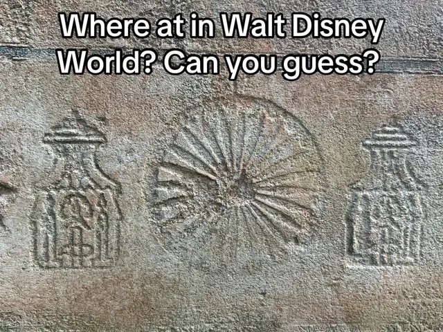 #waltdisneyworld #traveltok #fyp #guess #authorlife 