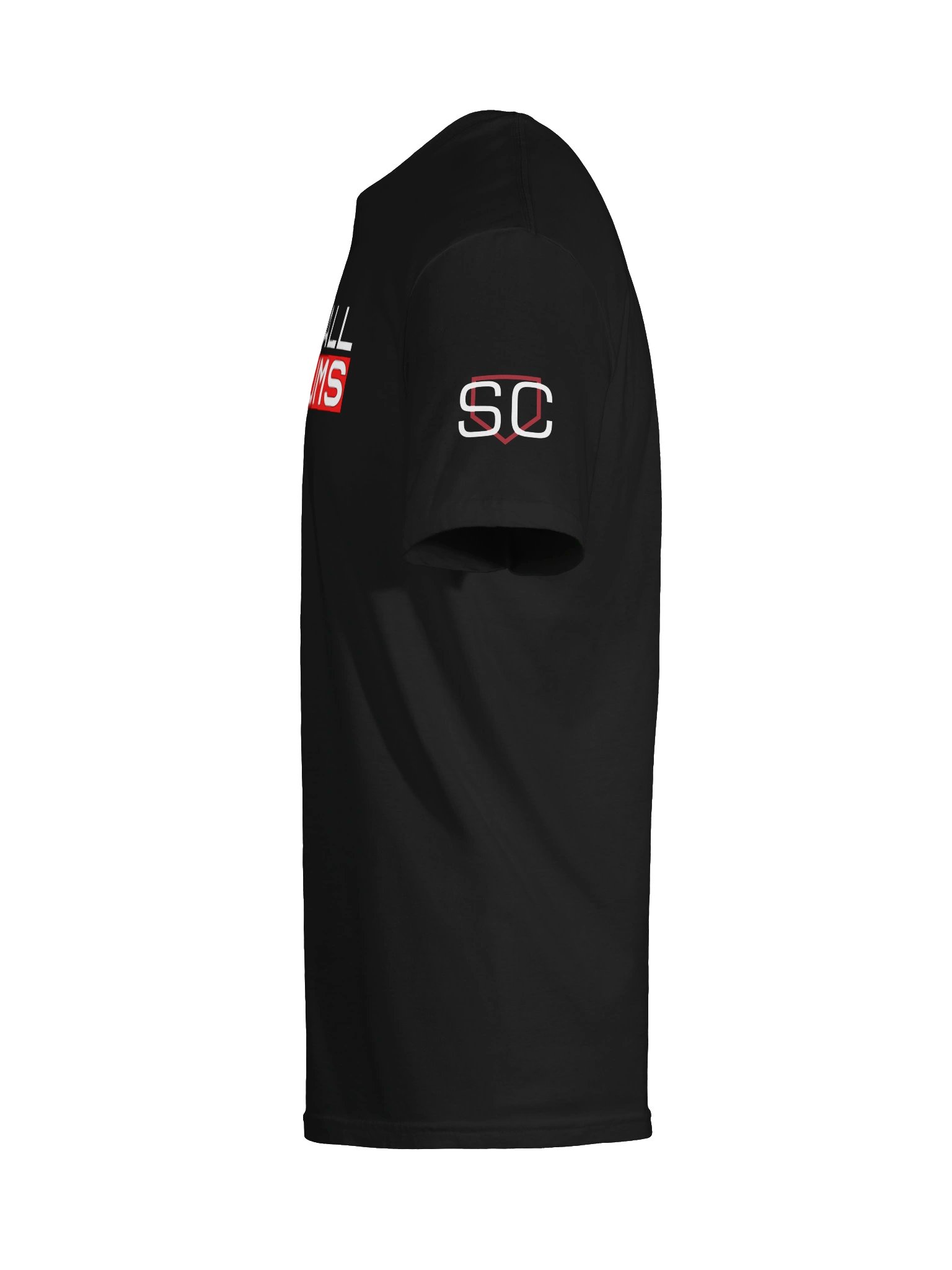SC Baseball Stadiums product image (9)